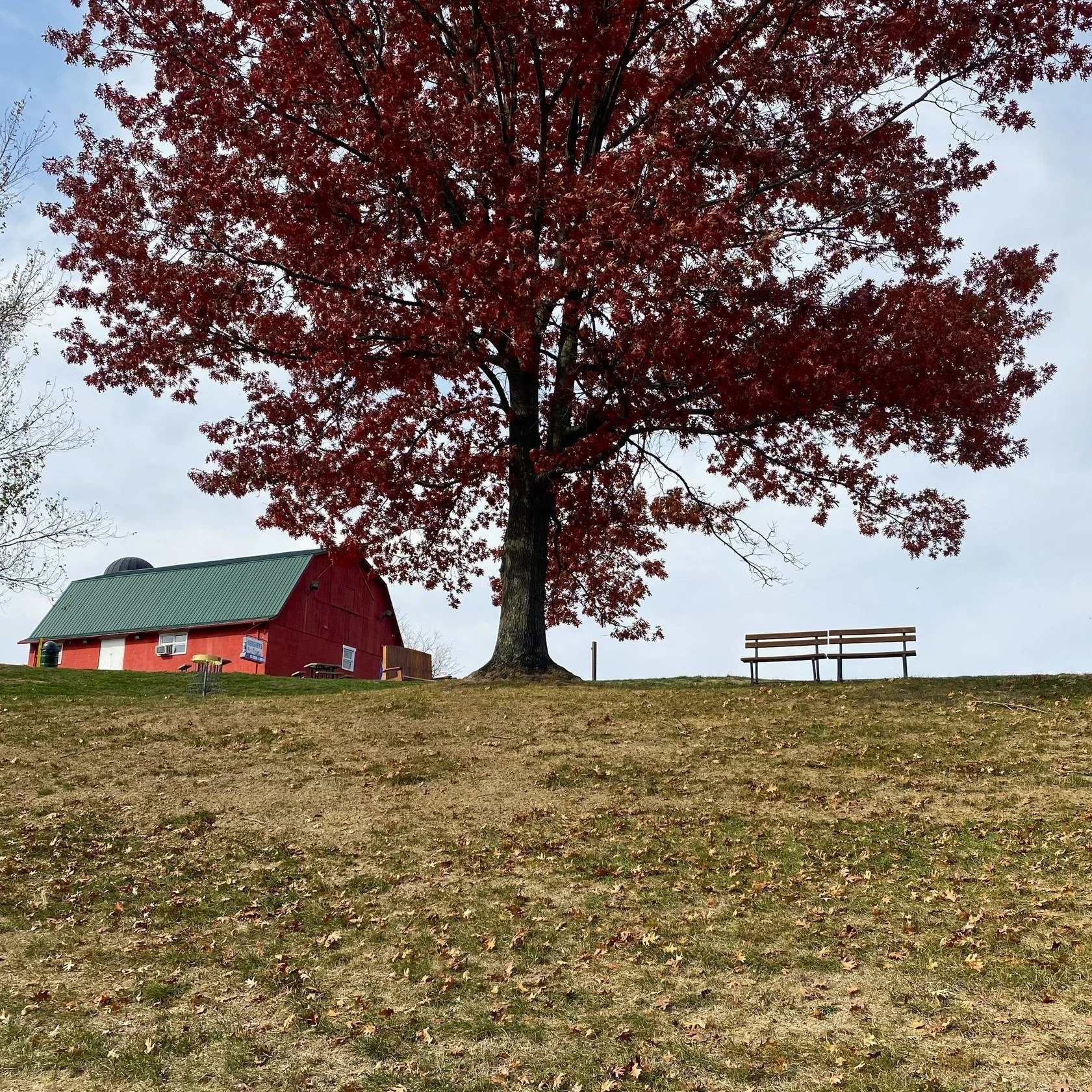 Sit Back and Enjoy the Scenery 🍁😍

Spend a day enjoying nature this weekend, take a hike or play some disc golf for some fresh fall air!

Start planning your holiday vacay at VisitMoundsville.com 🦃

#VisitMoundsville #MoundsvilleWV #WestVirginia #
