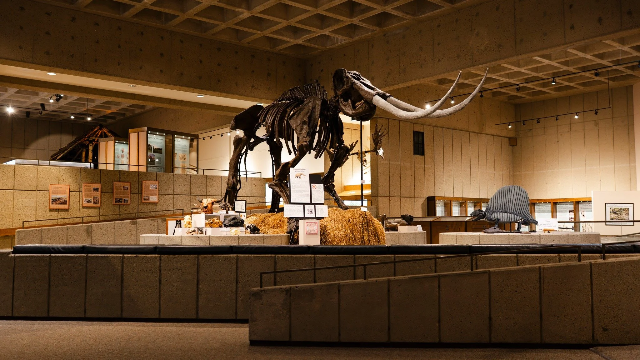 Need a fun rainy-day activity? Tour the Grave Creek Mound Archaeological Complex! 🔎

Explore the pre-historic side of West Virginia, see artifacts from sites around the state, and learn about our city's namesake, the Grave Creek Mound. Museum entry 