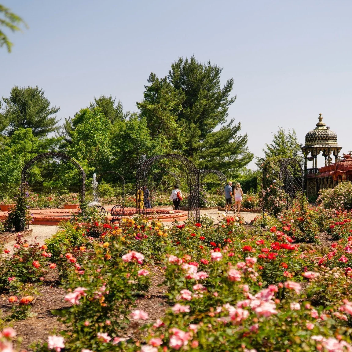 Spring Forward Soon! 🌹

Have you started planning your visit to the Palace of Gold's Rose Garden? Blooming from May through August, this is the perfect spot to snap some beautiful photos and enjoy the scenic views!

Plan your adventure now at VisitM