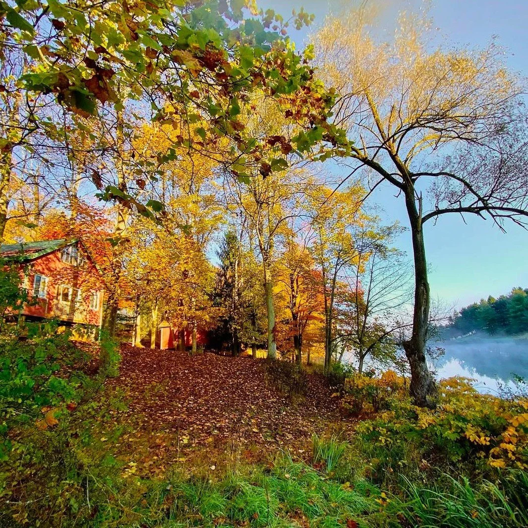 Fall leaf peeping calling your name? 🍂 Book a cozy place to stay for a weekend getaway. From cabins in the woods to comfy hotels at the center of it all, we've got the right accommodations for you. Check the link in our bio for the best spots to sta