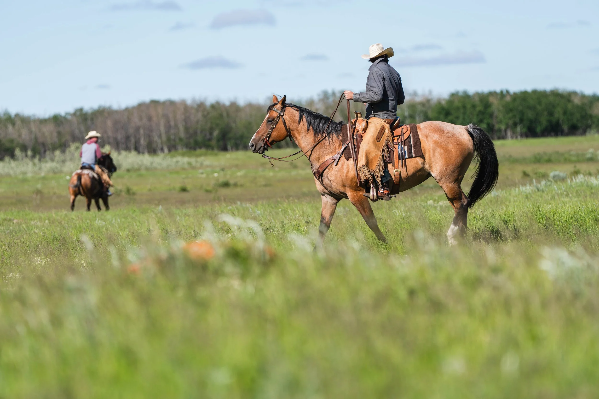 CattleDay-09369.jpg