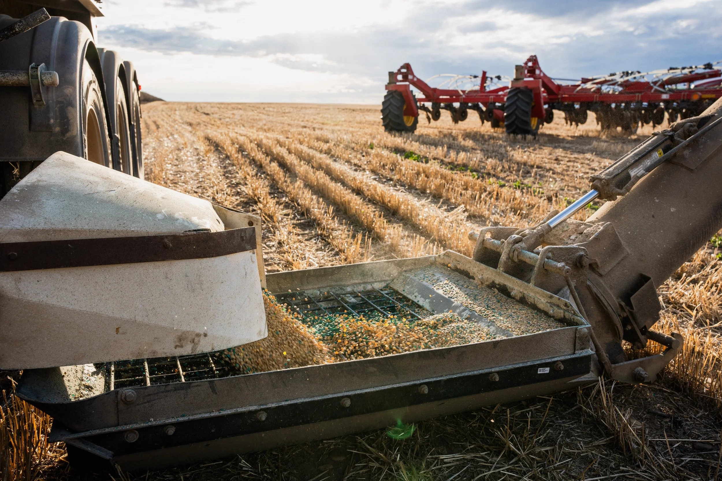 SWSeeding-2025-08127.jpg