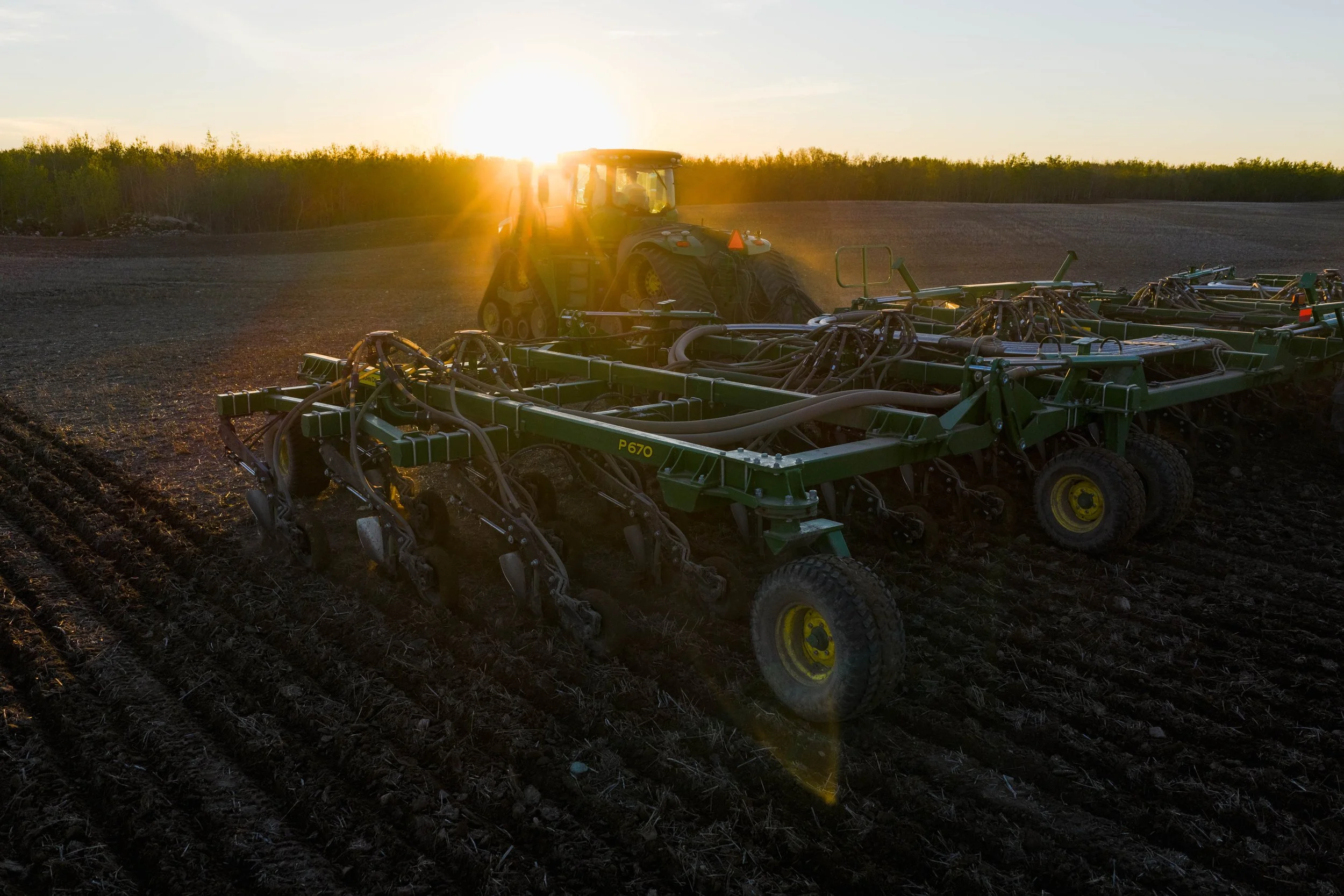 Seeding2026--2.jpg