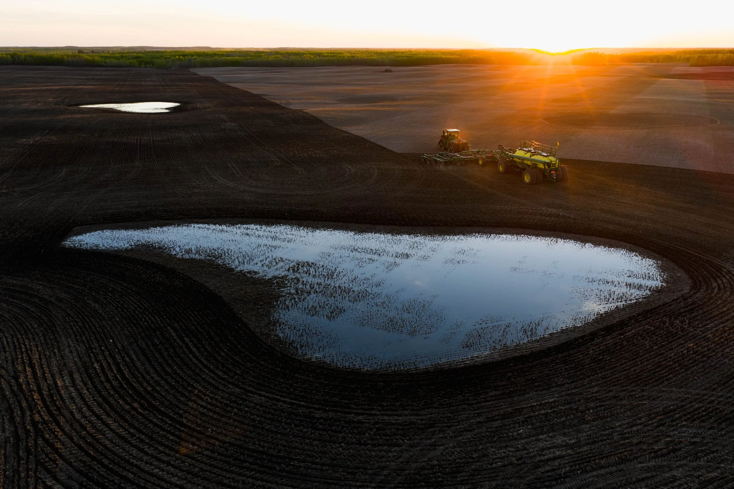 Seeding2026--4.jpg