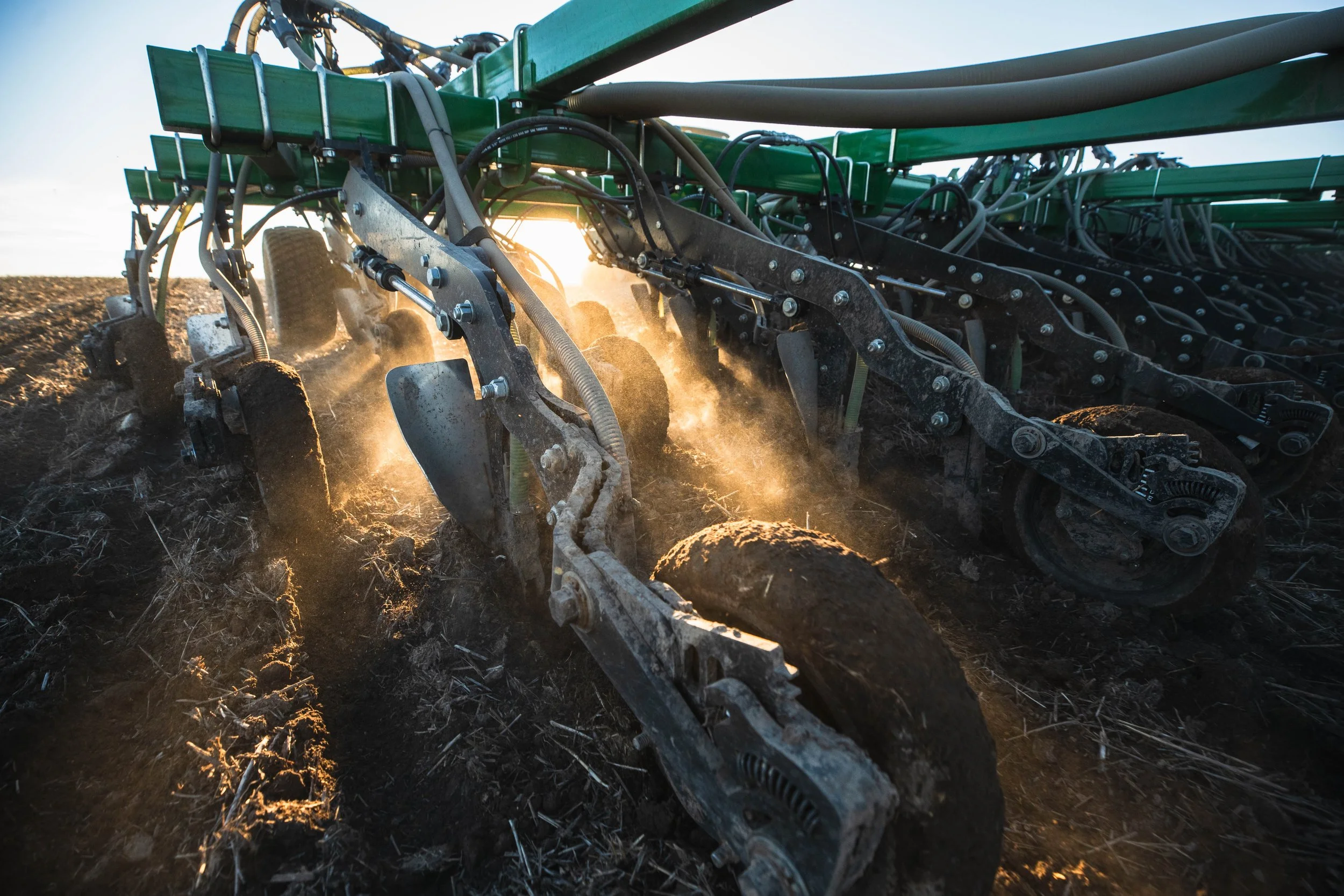 Seeding2026-07961.jpg