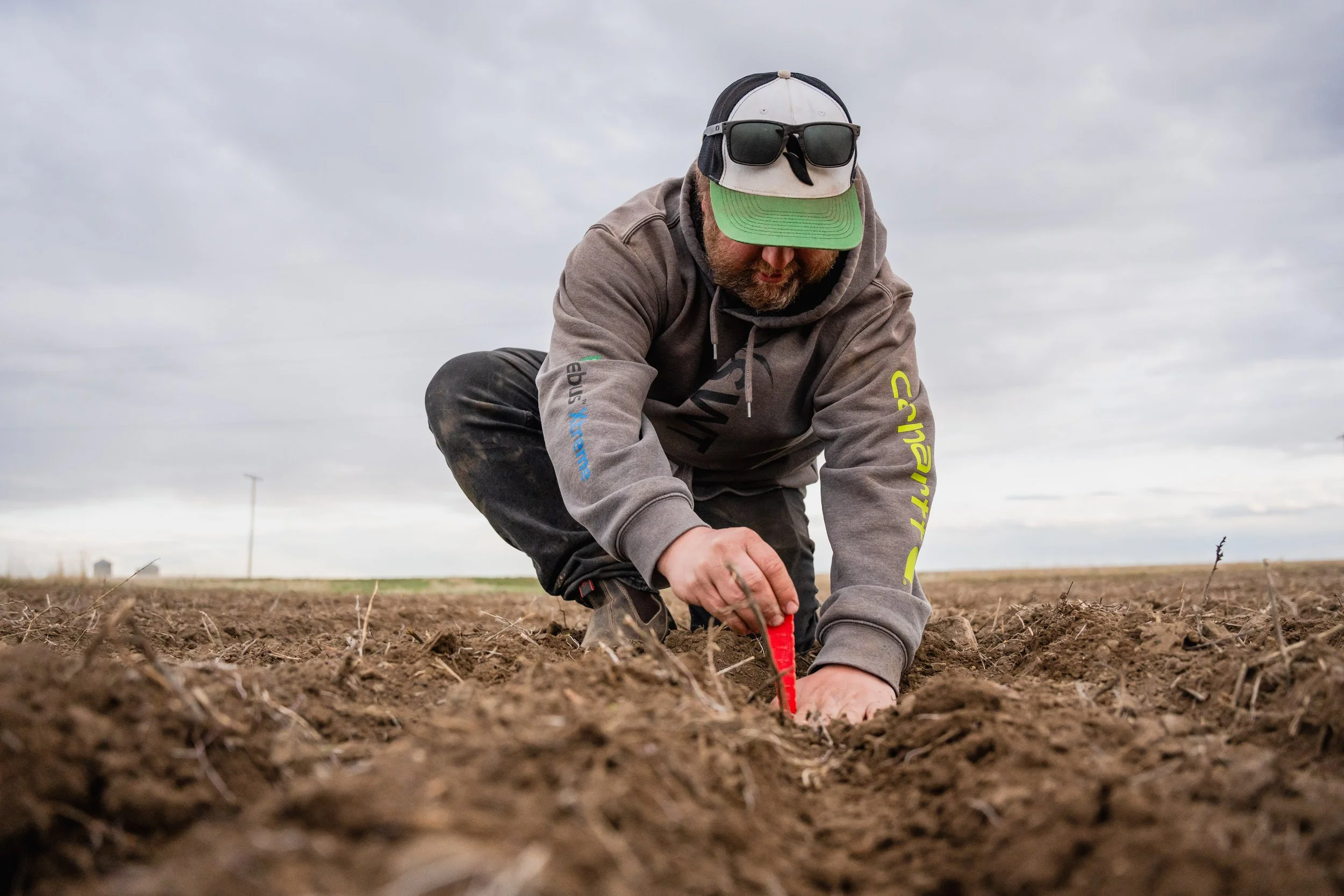 SWSeeding-2025-08766.jpg