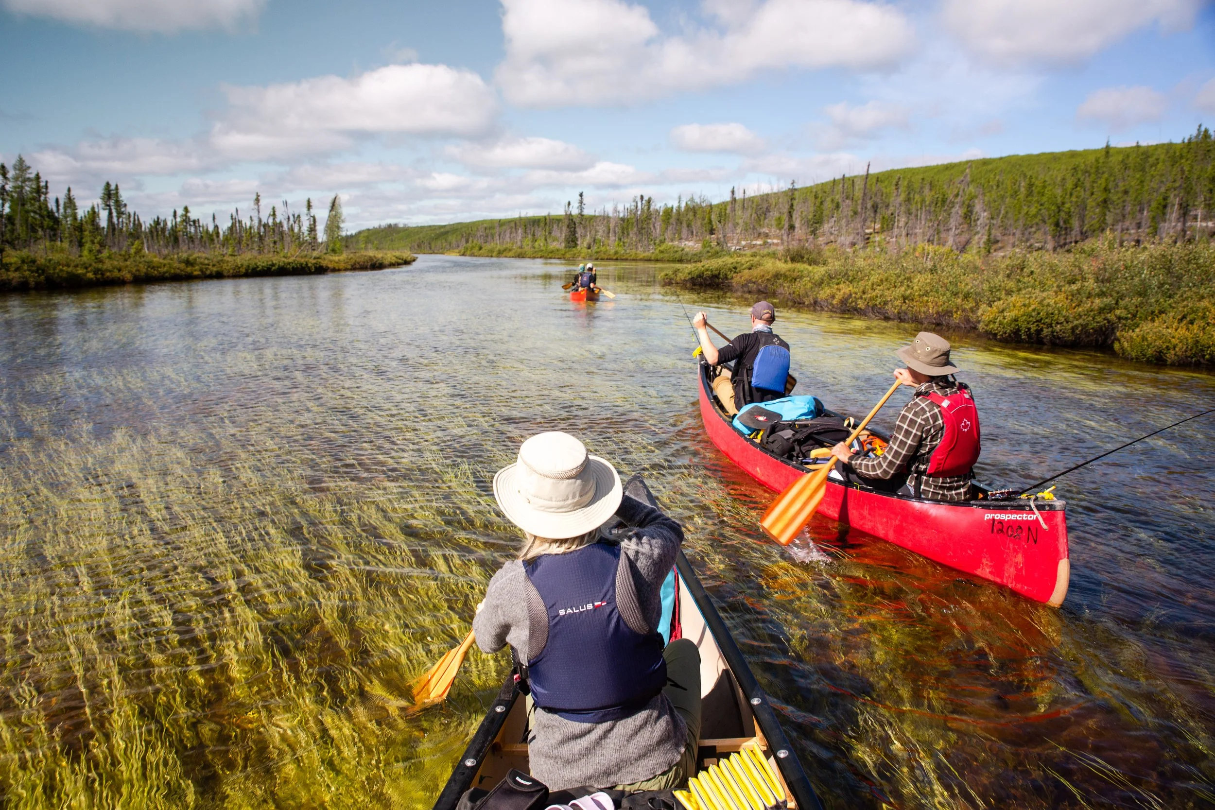 Hawkrock&Roll (12 of 21).jpg