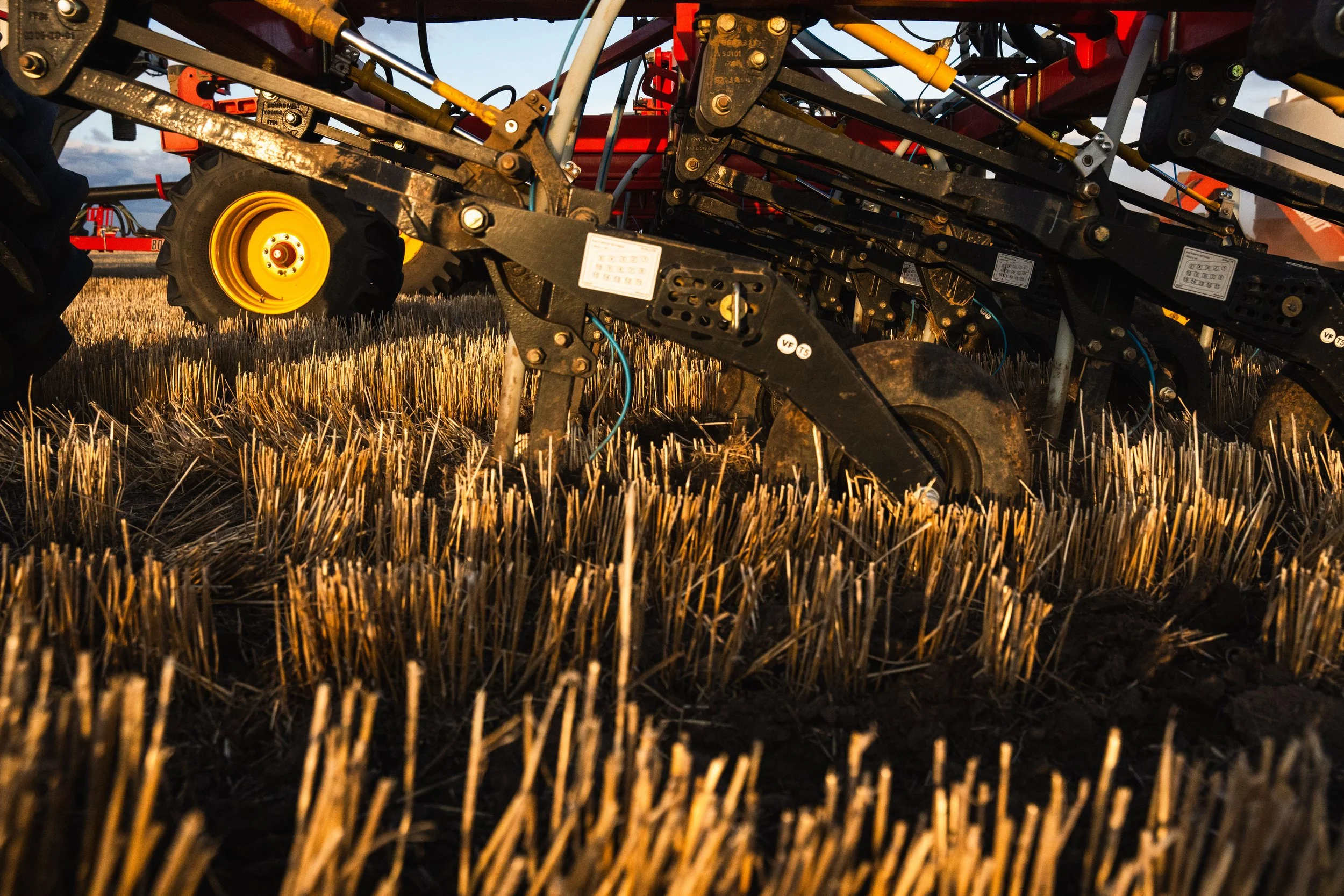 SWSeeding-2025-08267.jpg