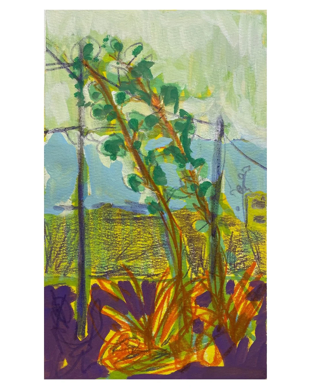 Photo 2025-09-23, 9 52 15 AM (3).jpg