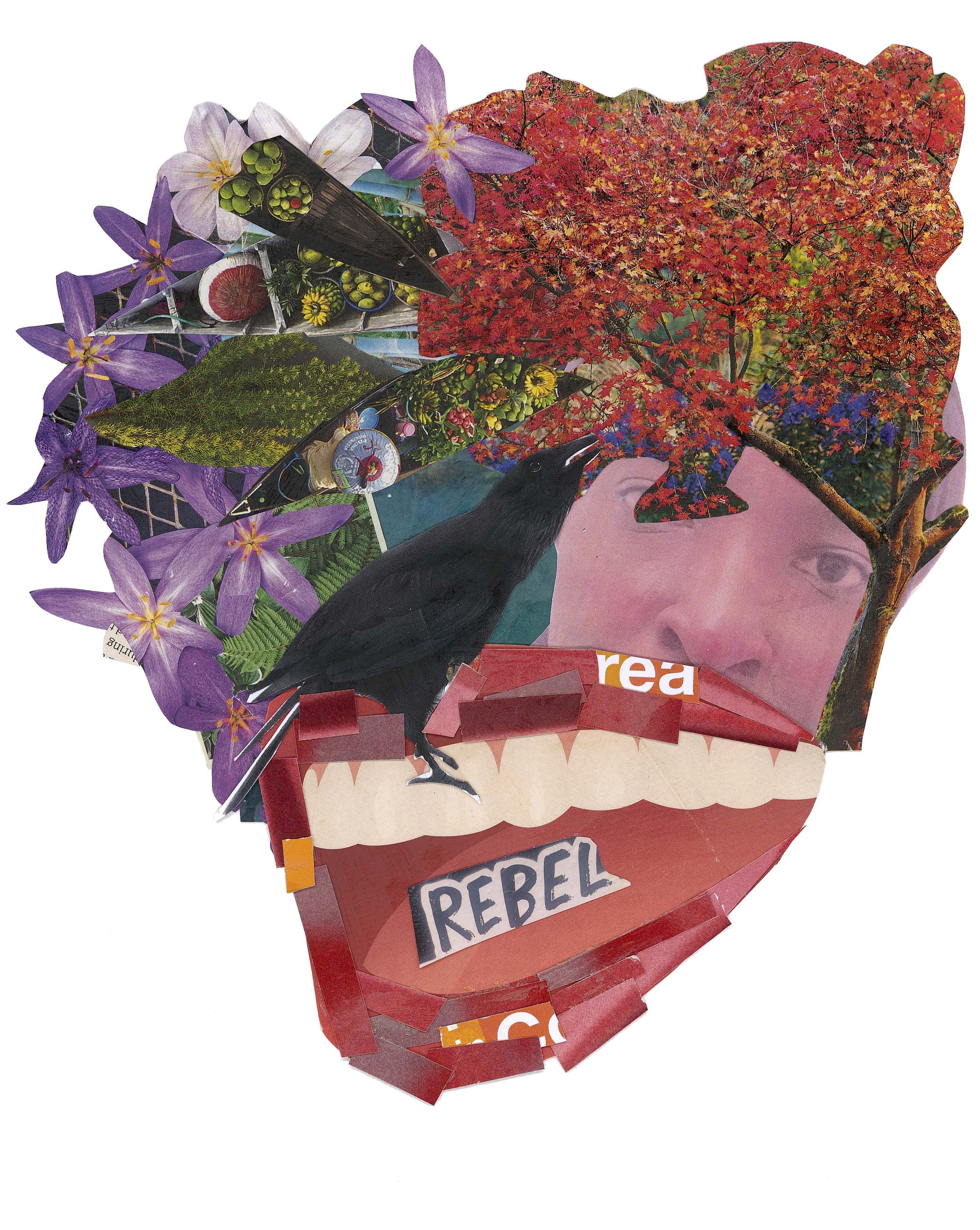 Big Mouth - Limited Edition Fine Art Print | Theodora Songhai