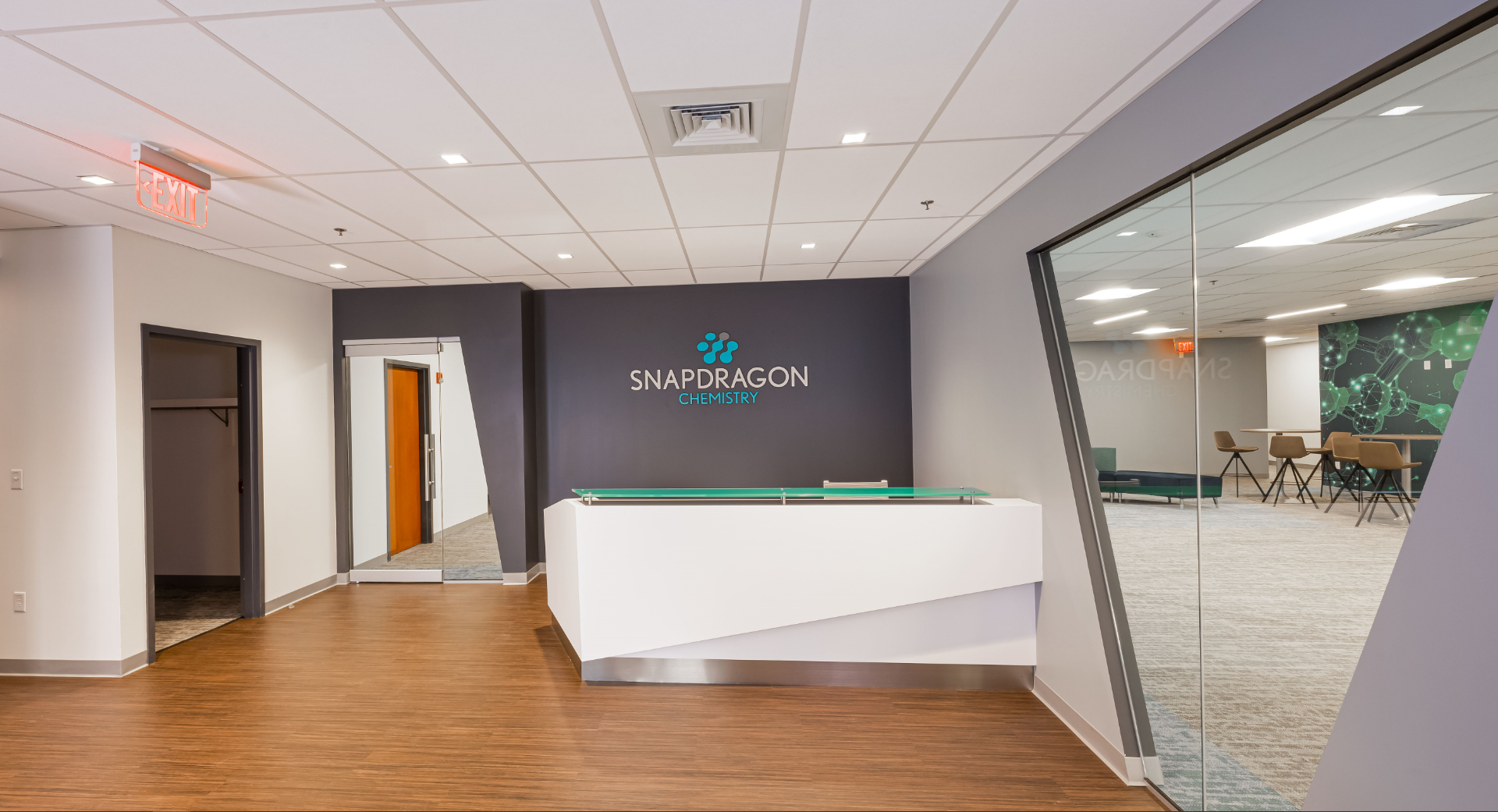 Snapdragon Chemistry | Office Buildout