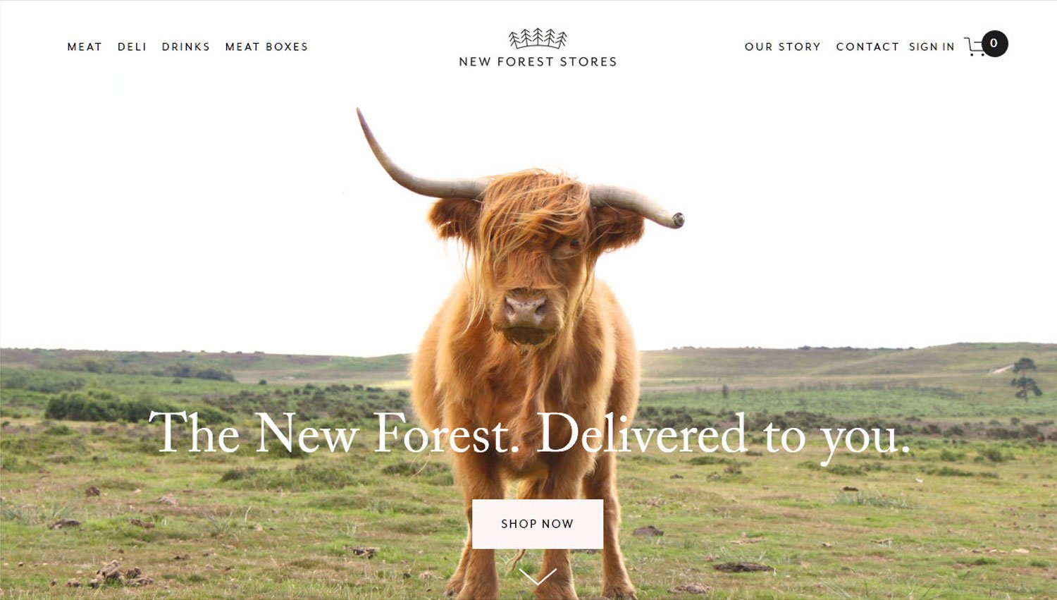 New Forest Stores