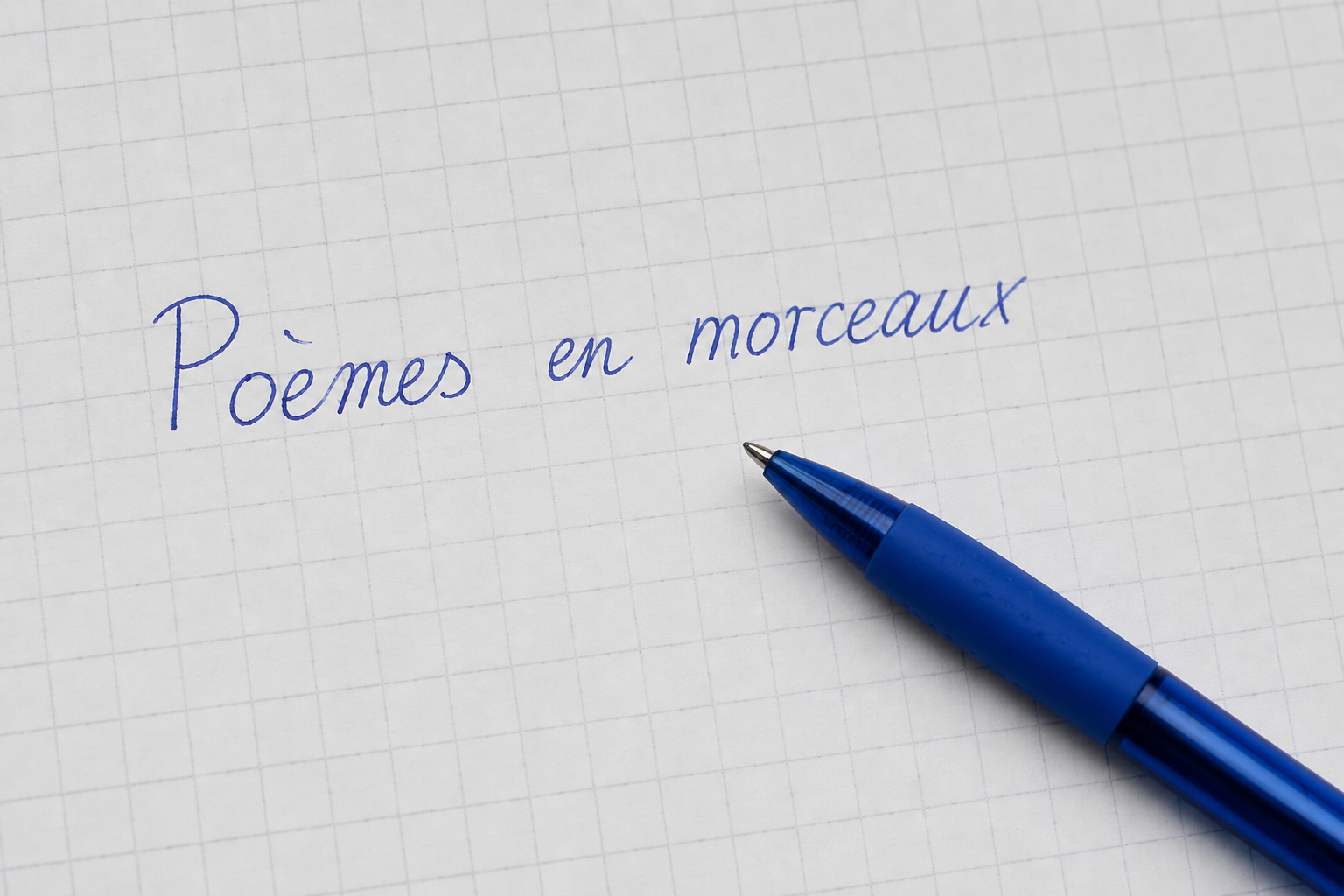 Poèmes en morceaux : Atelier tout public