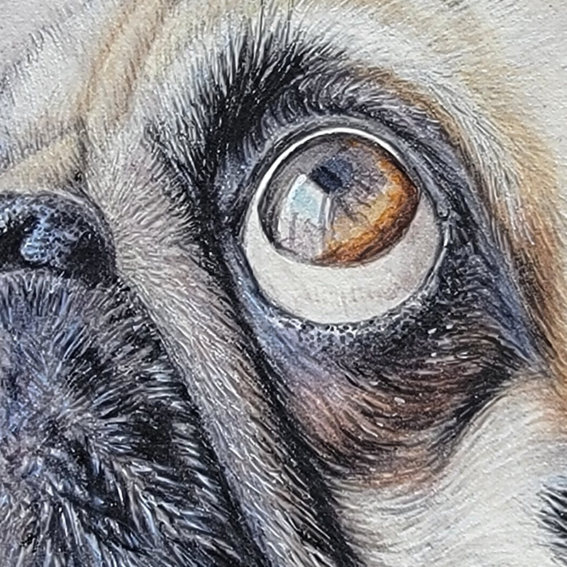Pug8x8Detail.png