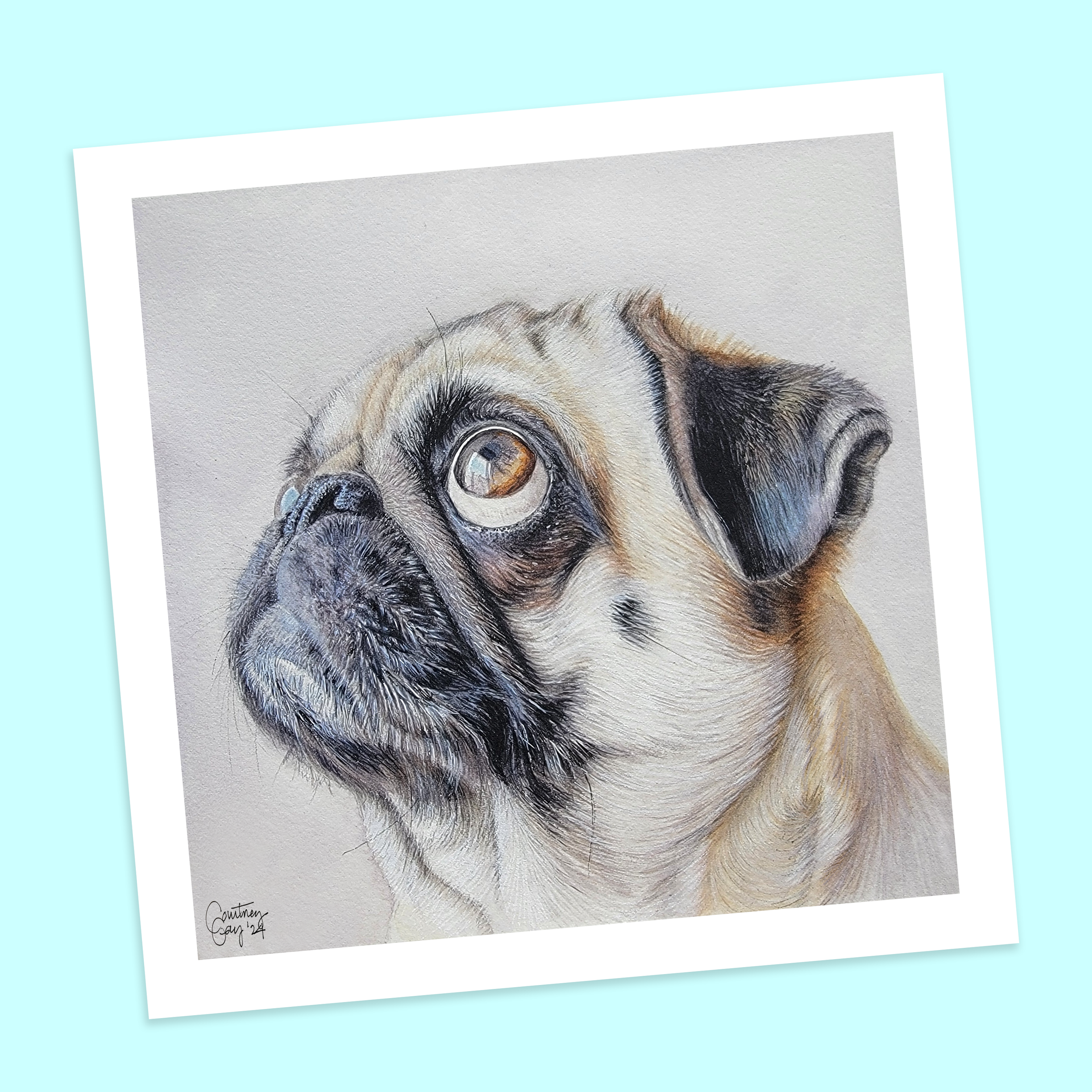 Pug8x8Background.png