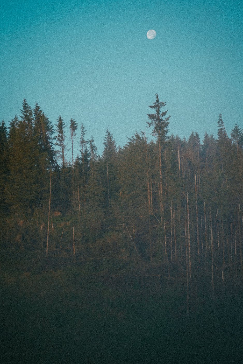 _DSC9809.jpeg
