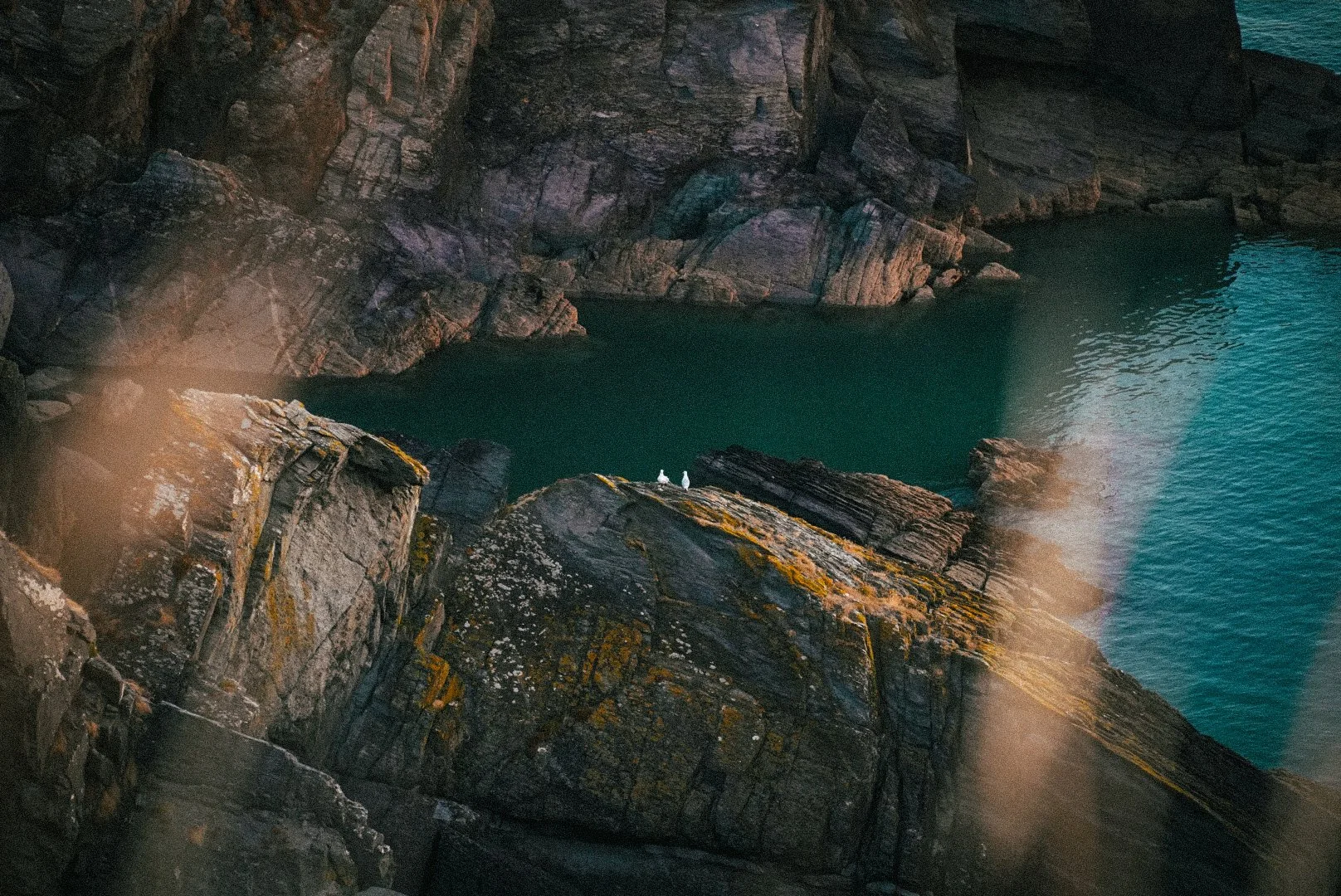 _DSC2441.jpeg