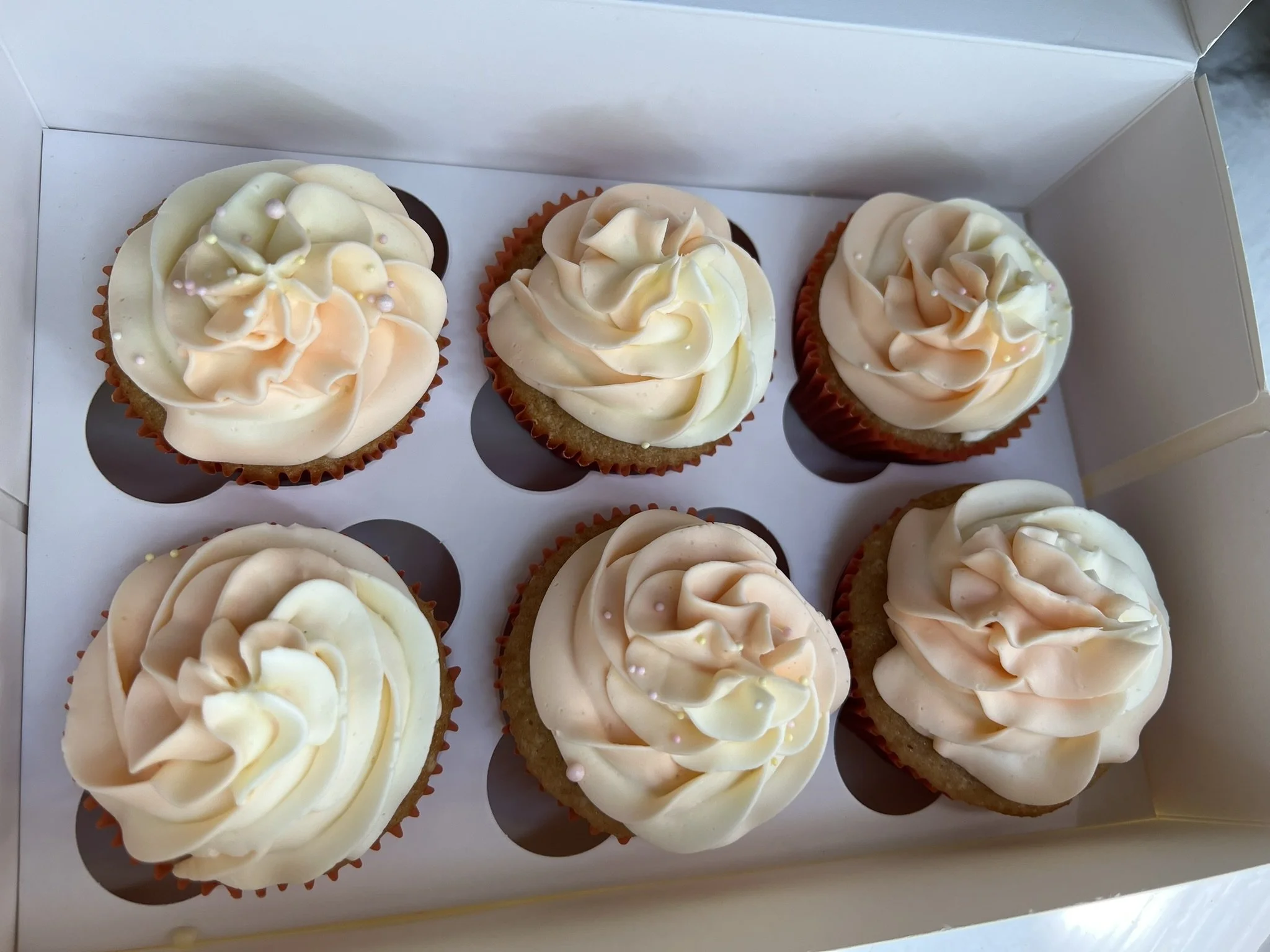 Plain Aesthetic Glass Barbecue Containers