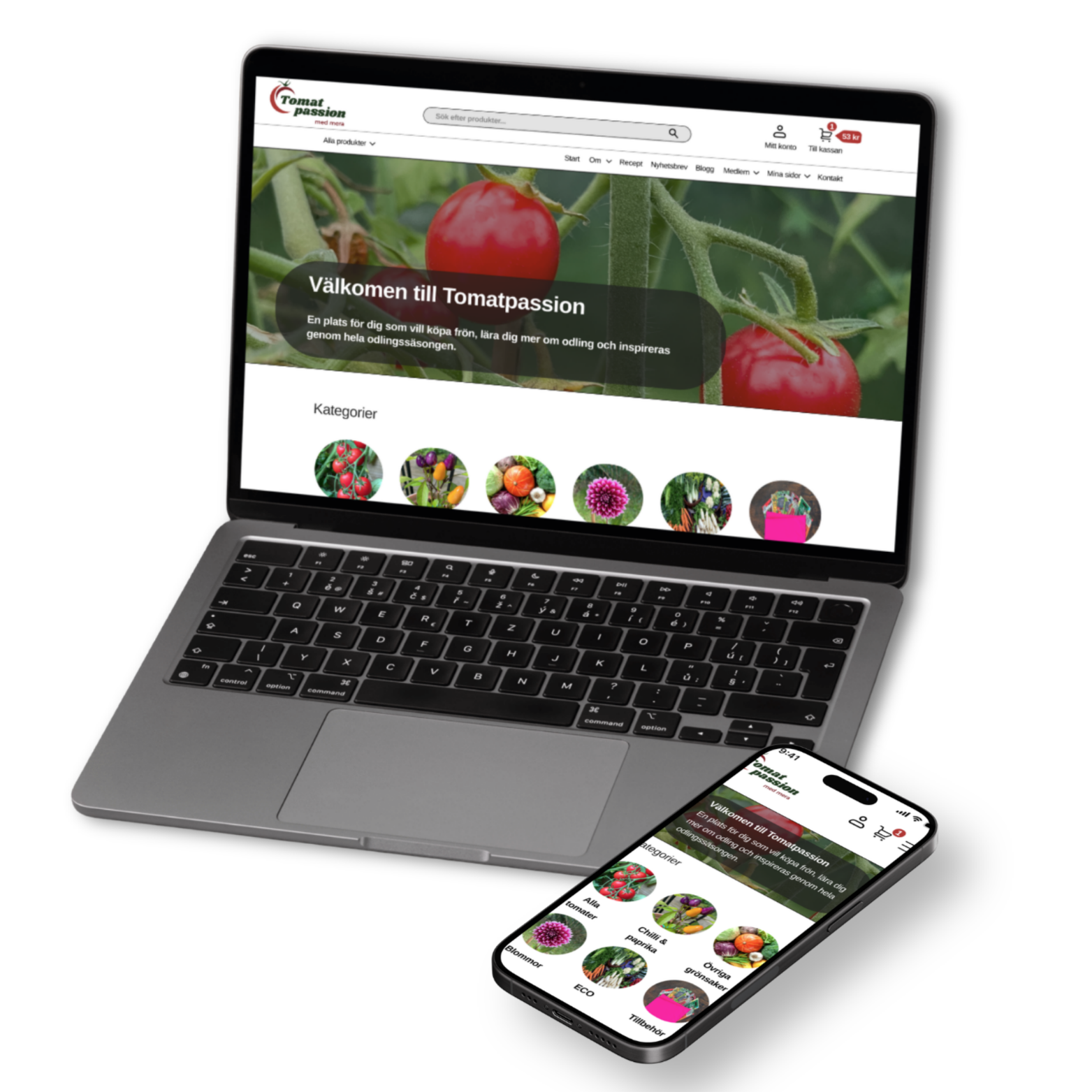 Webbdesign/Webbuppdatering