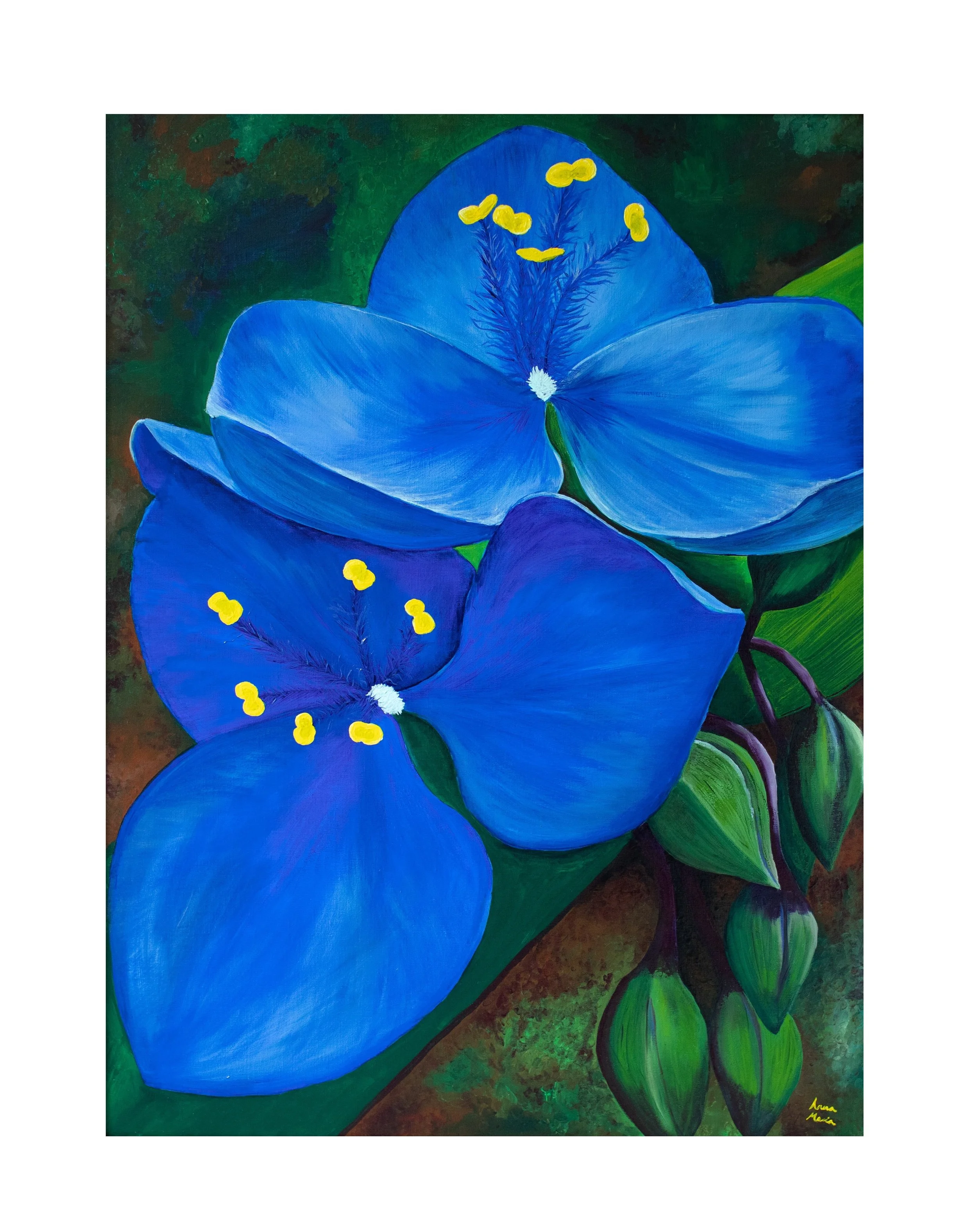 (Print of) Tradescantia