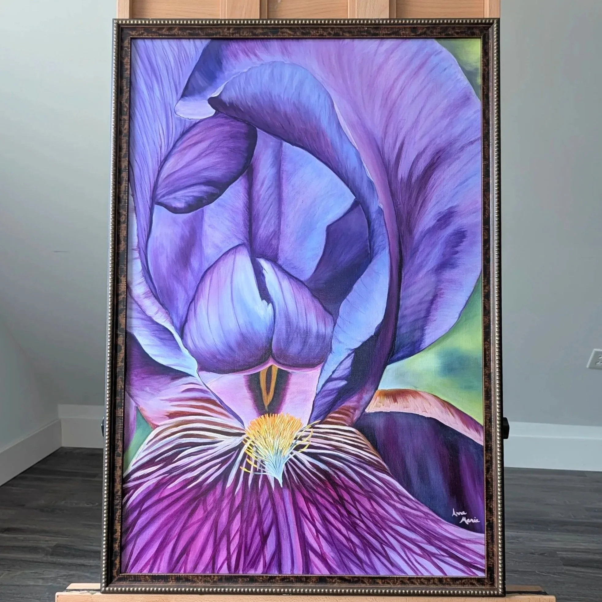 A Bearded Lady (bearded iris)