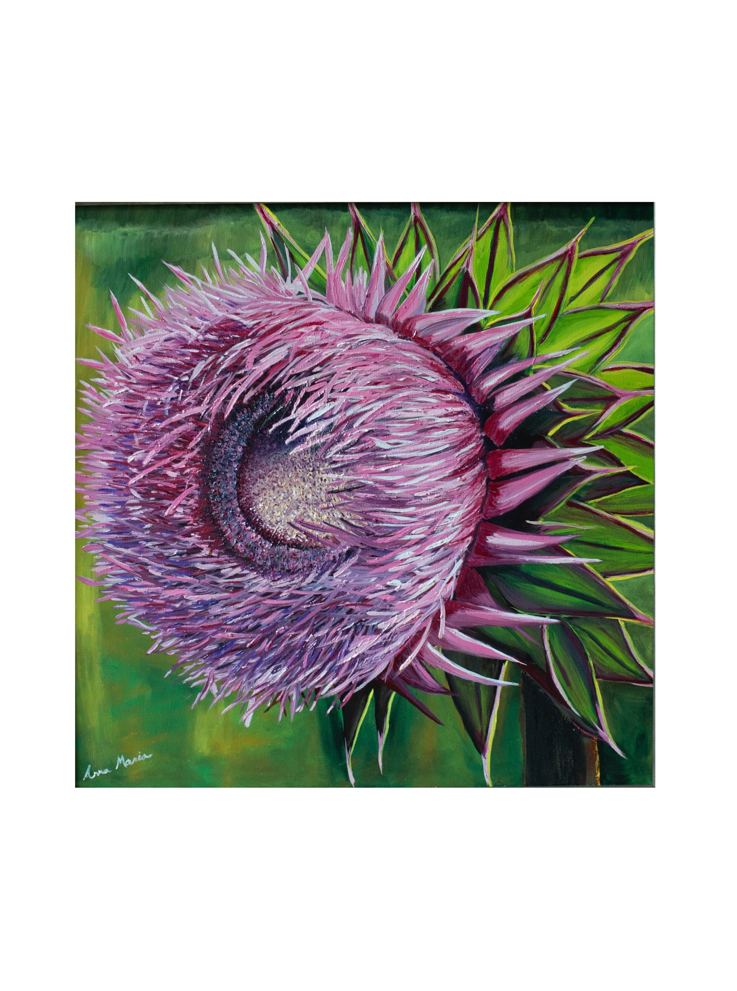 Thistle 2 zoomed out.jpg