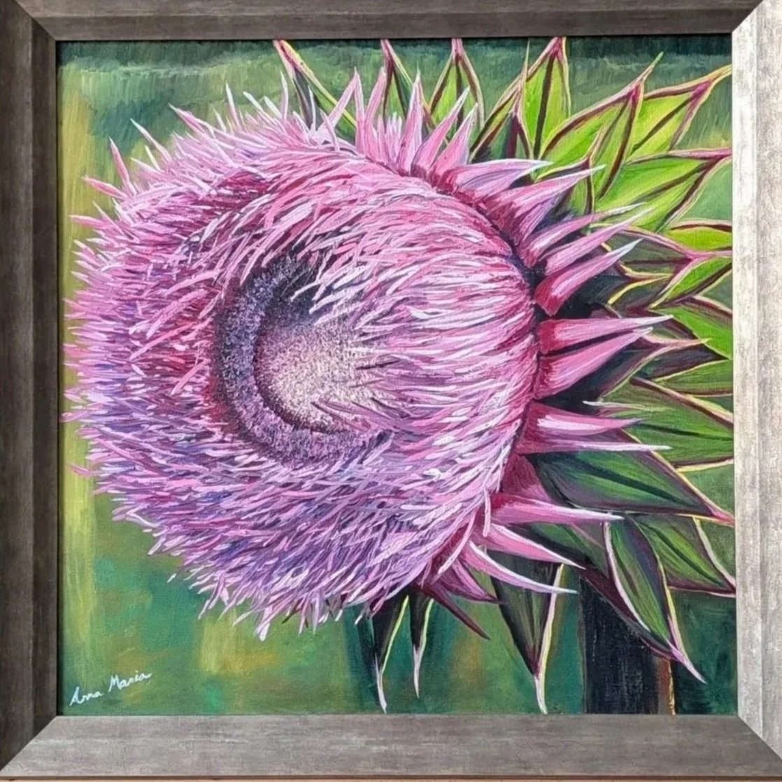 Thistle Bloom Series #2