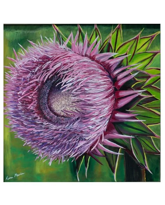(Print of) Thistle Bloom Series 2: The difference between a flower and a weed is a judgement