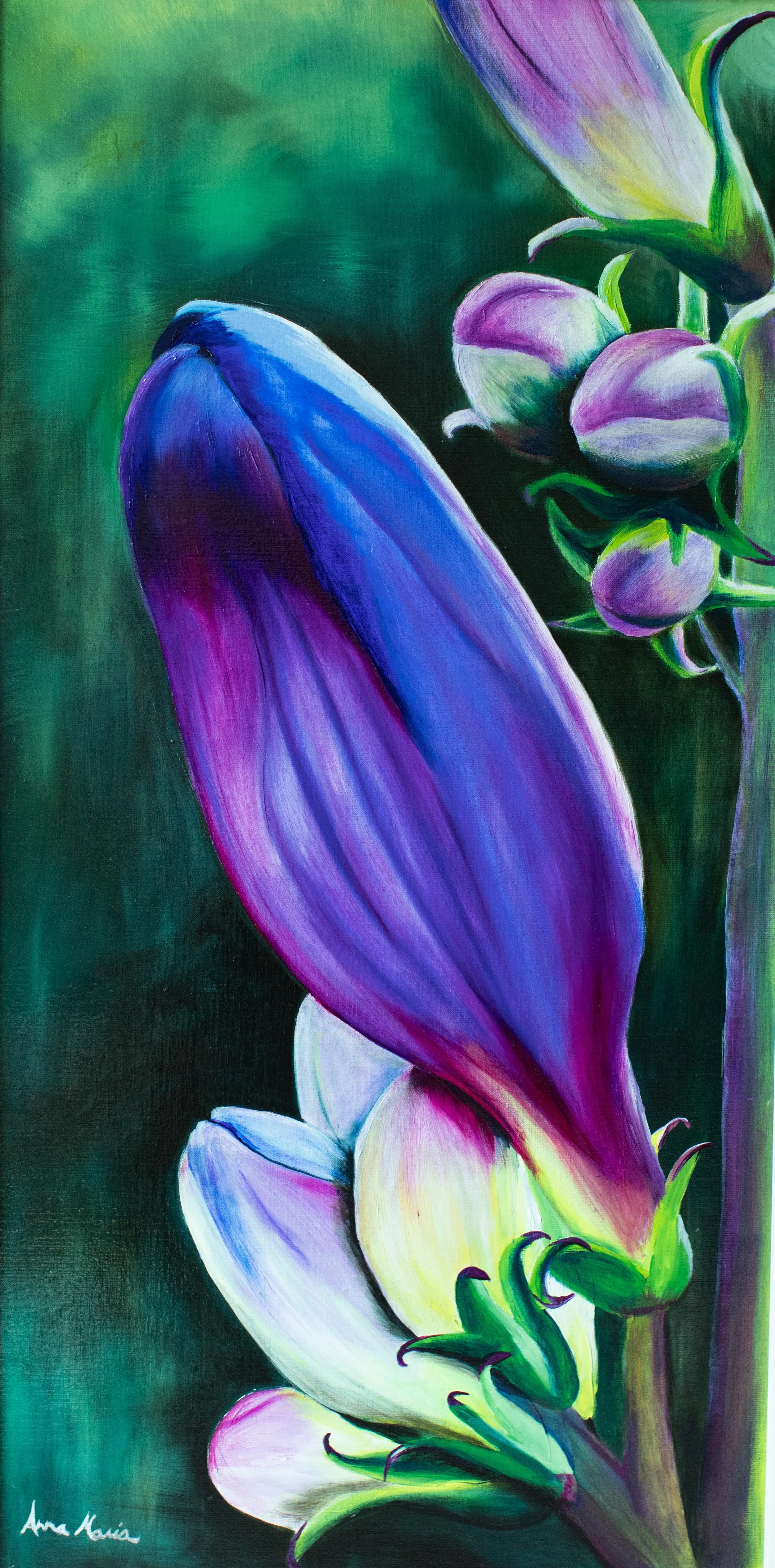 1B3A0441 - wild turtlehead.jpg