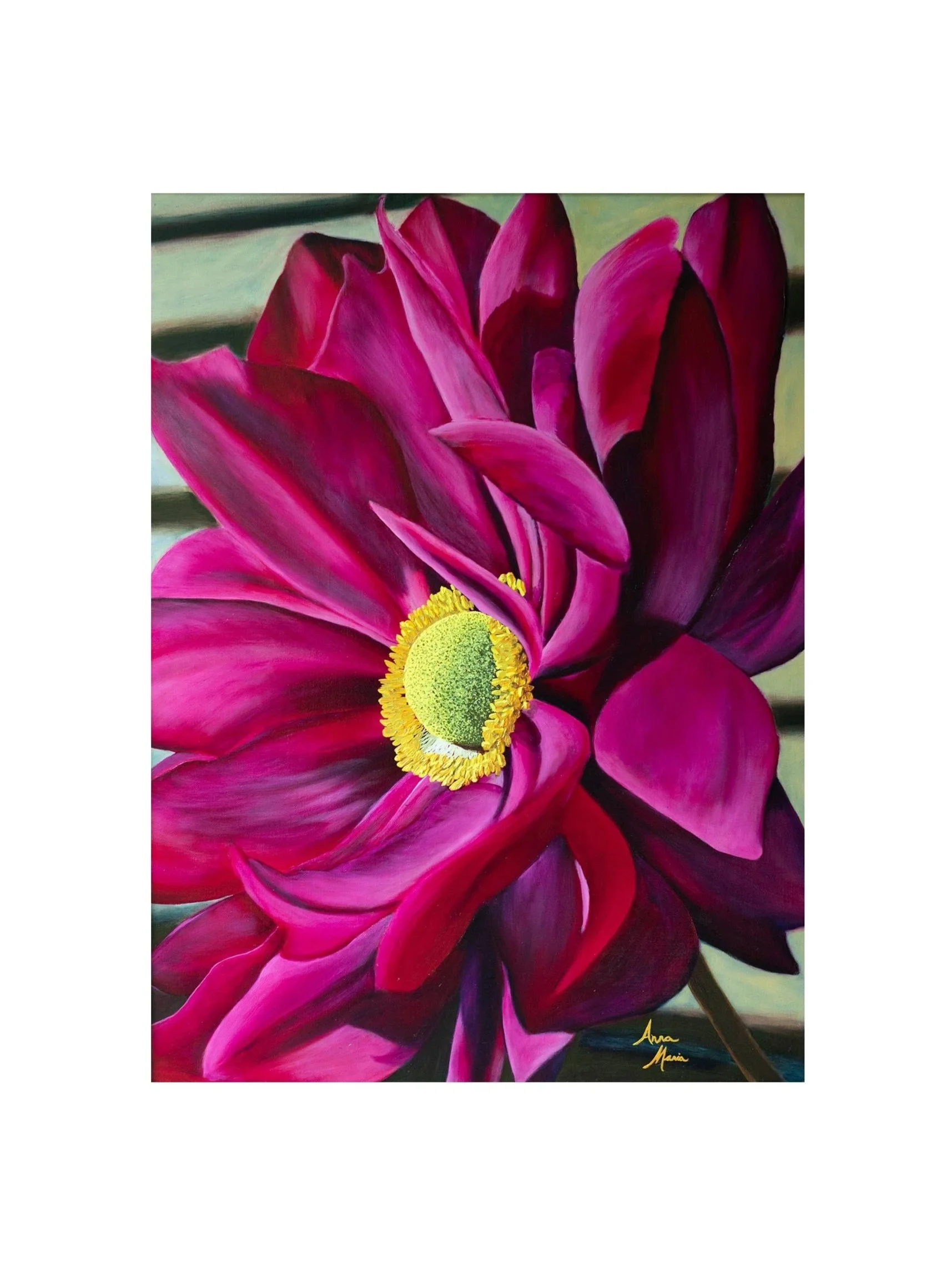 (Print of) Windflower