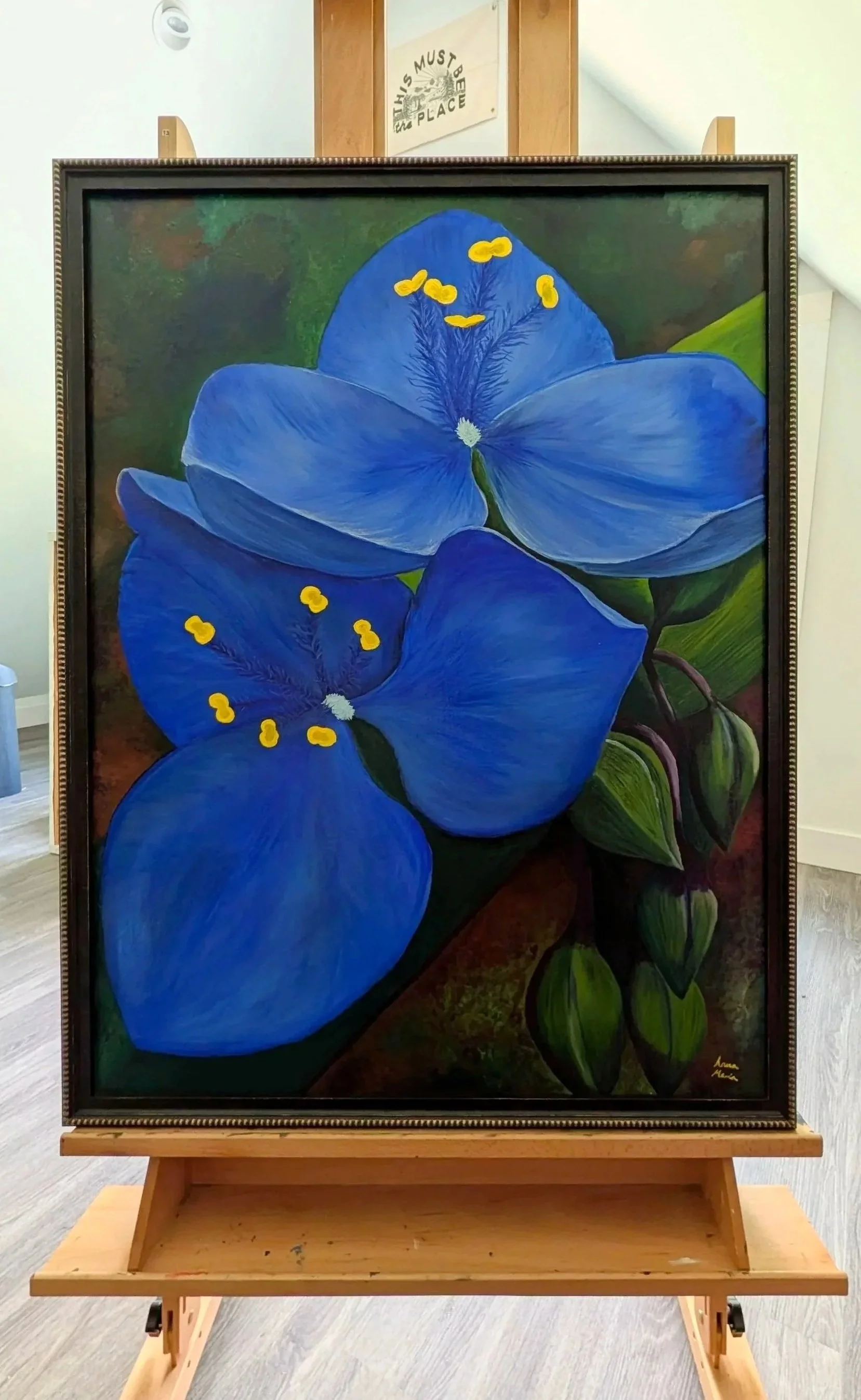Tradescantia