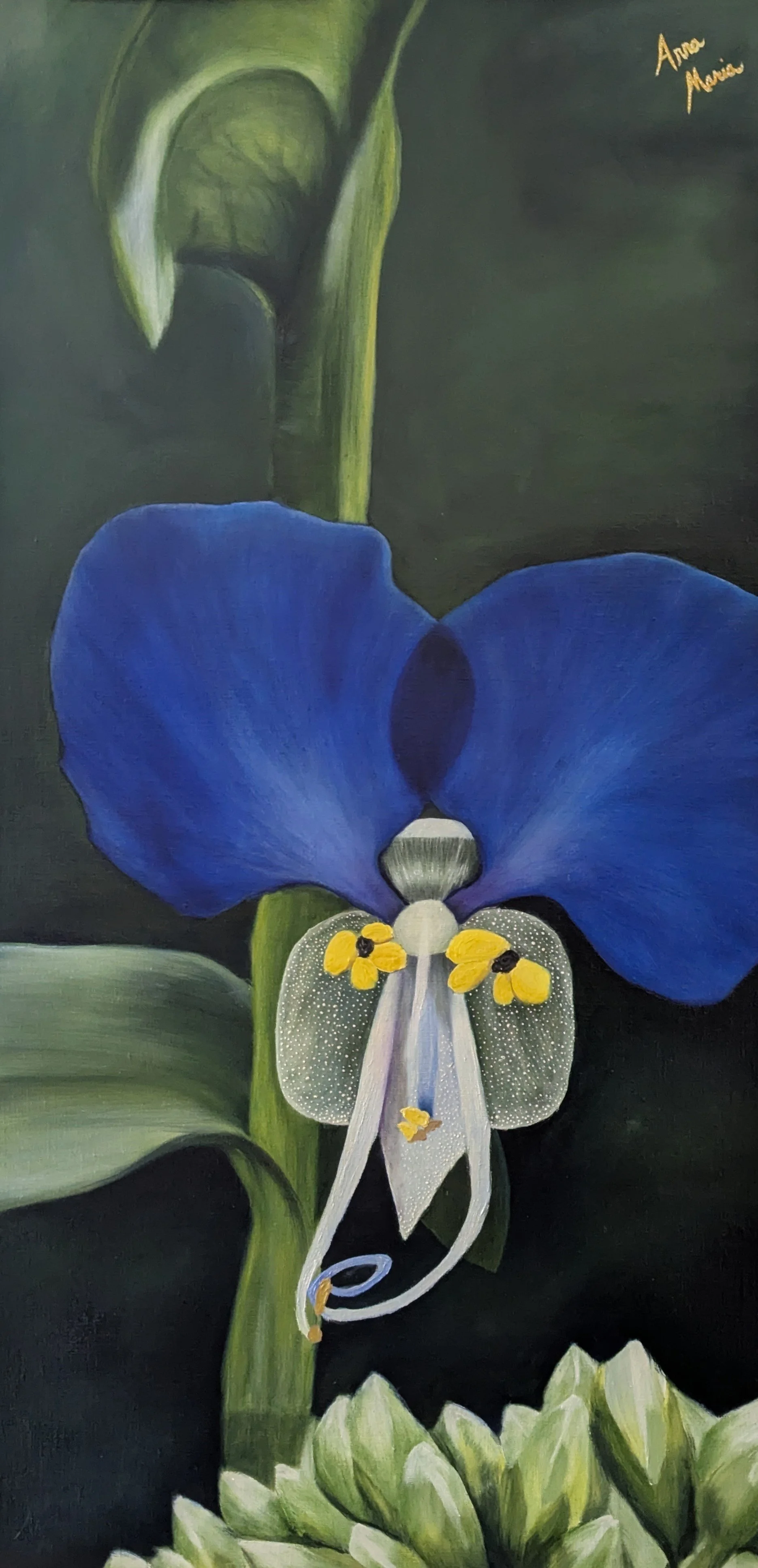 (Print of) The face of an invader