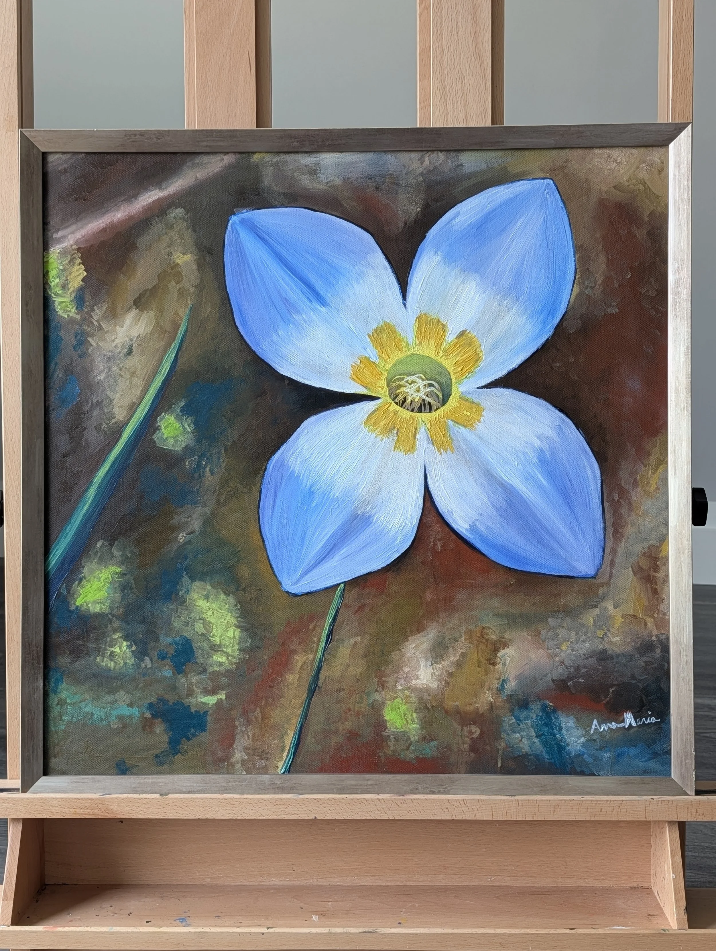 Oh, hello there lovely little bluet!