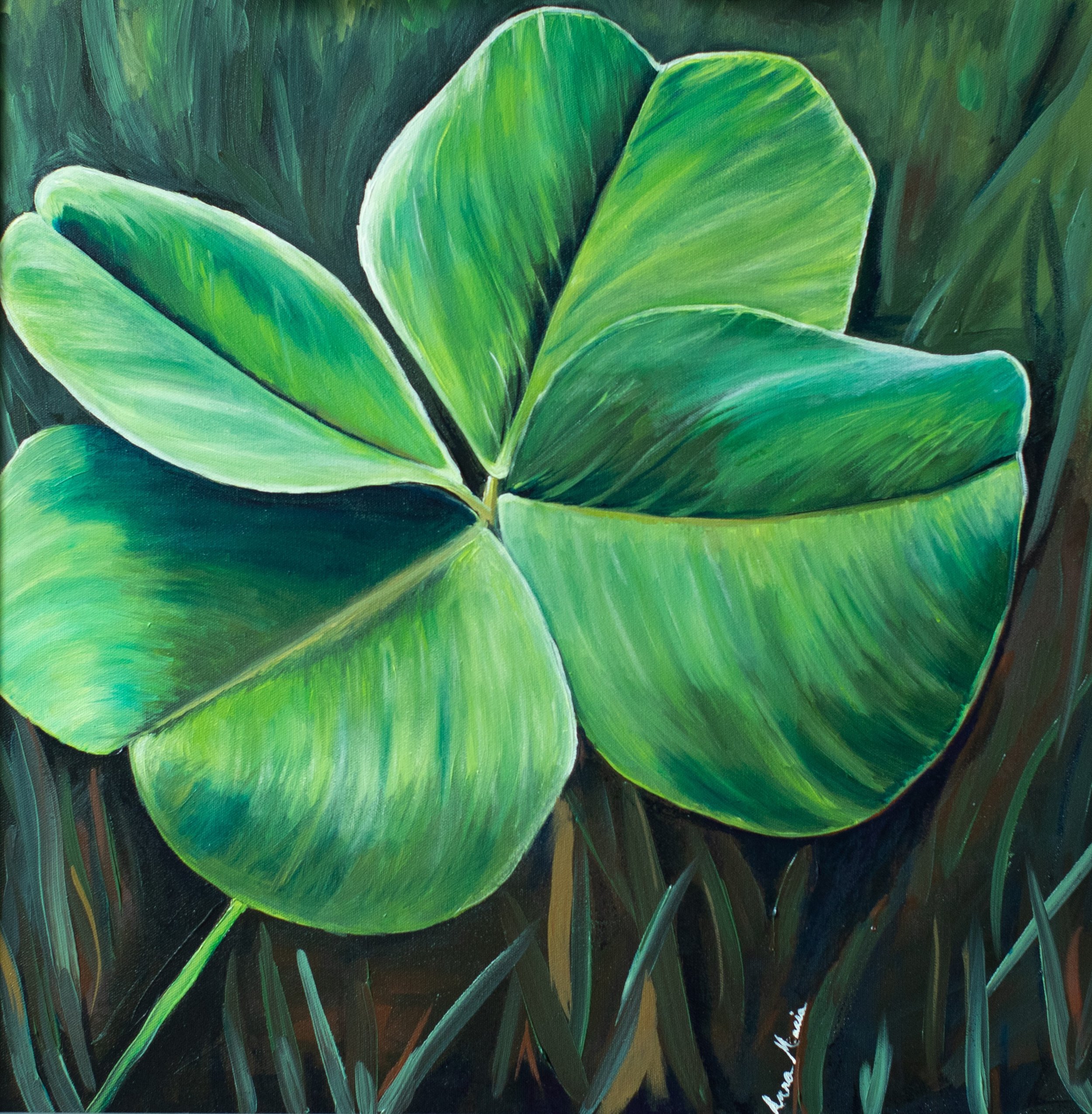 1B3A0508 - what luck.jpg