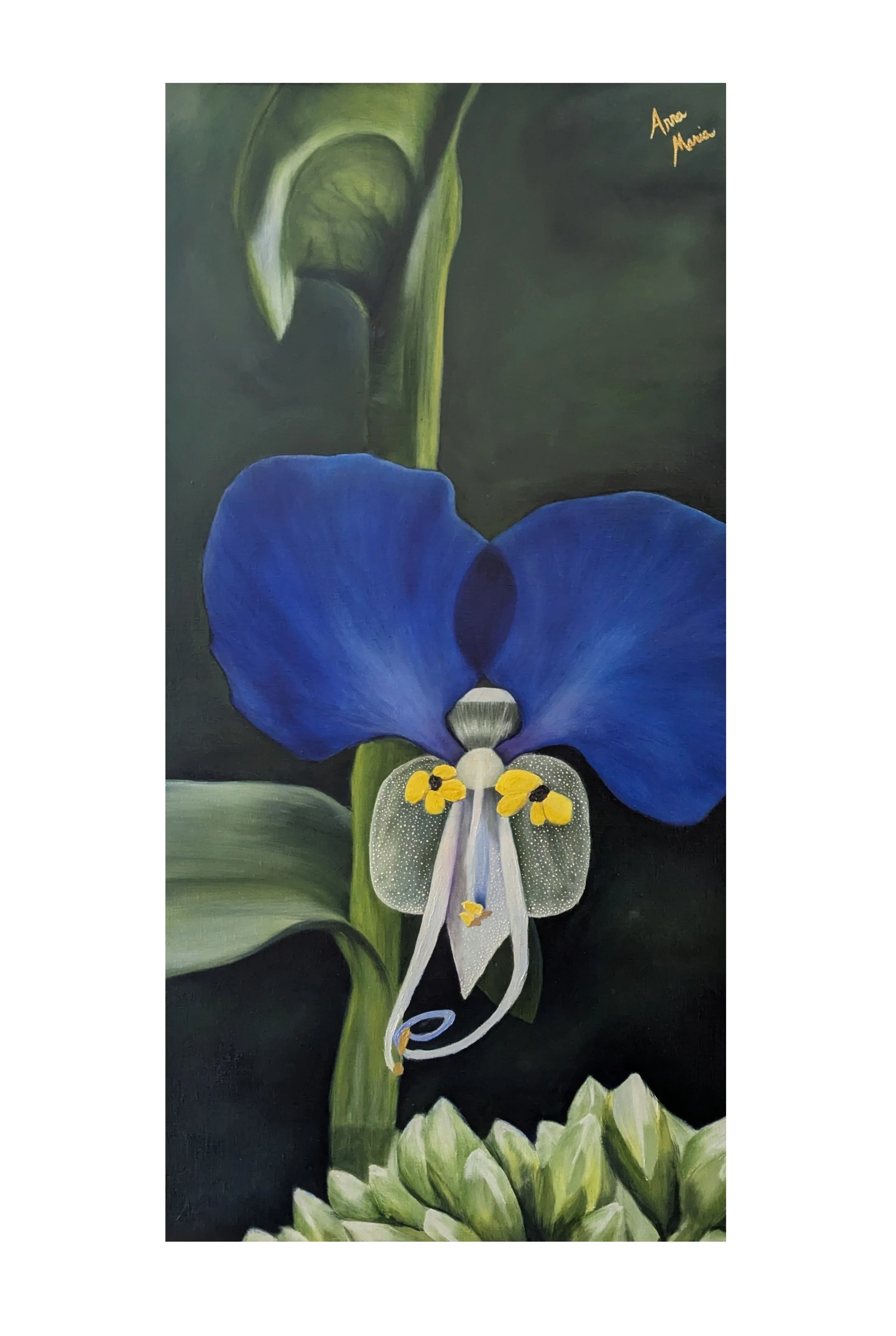 invader zoomed out.jpg