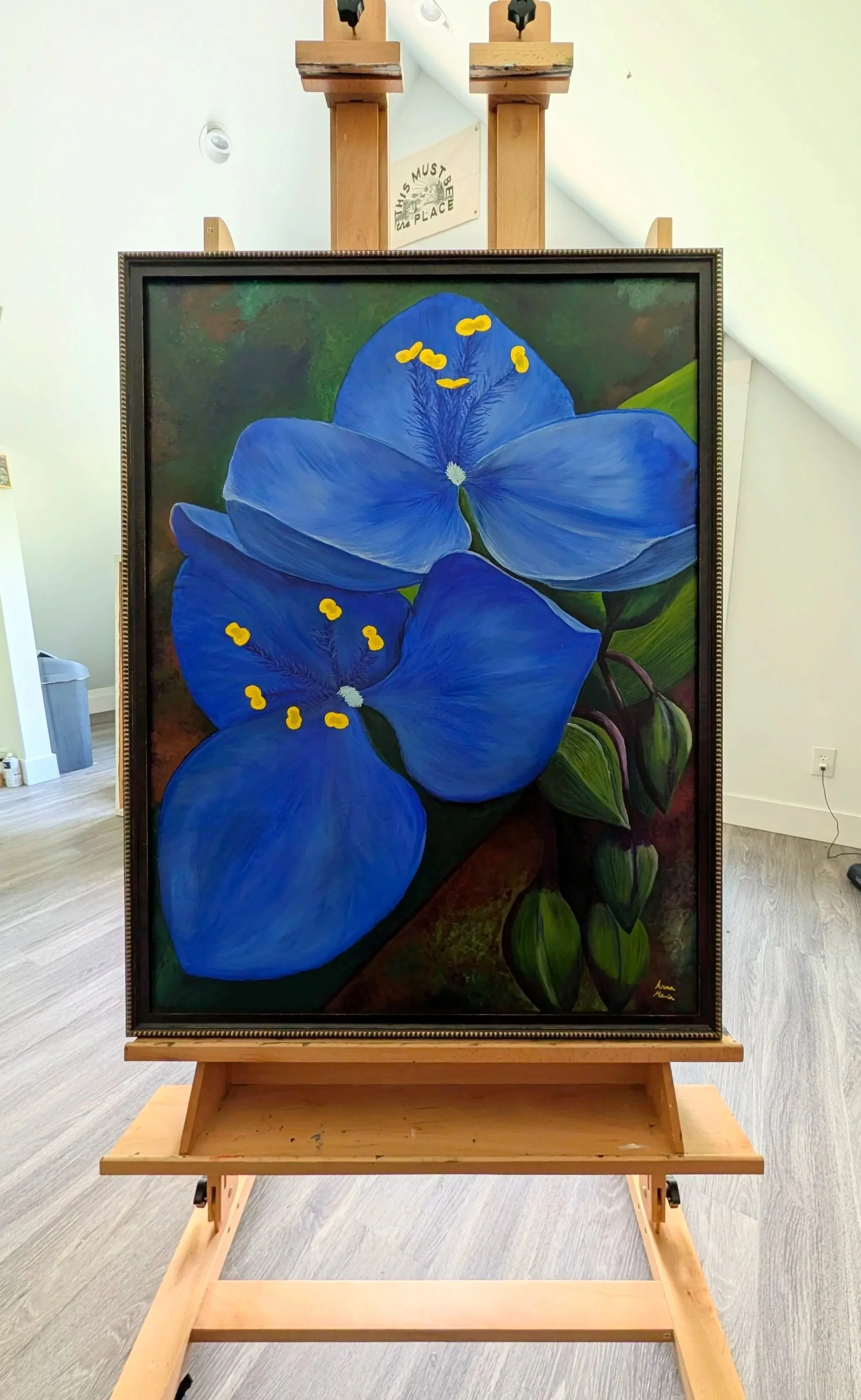 Tradescantia