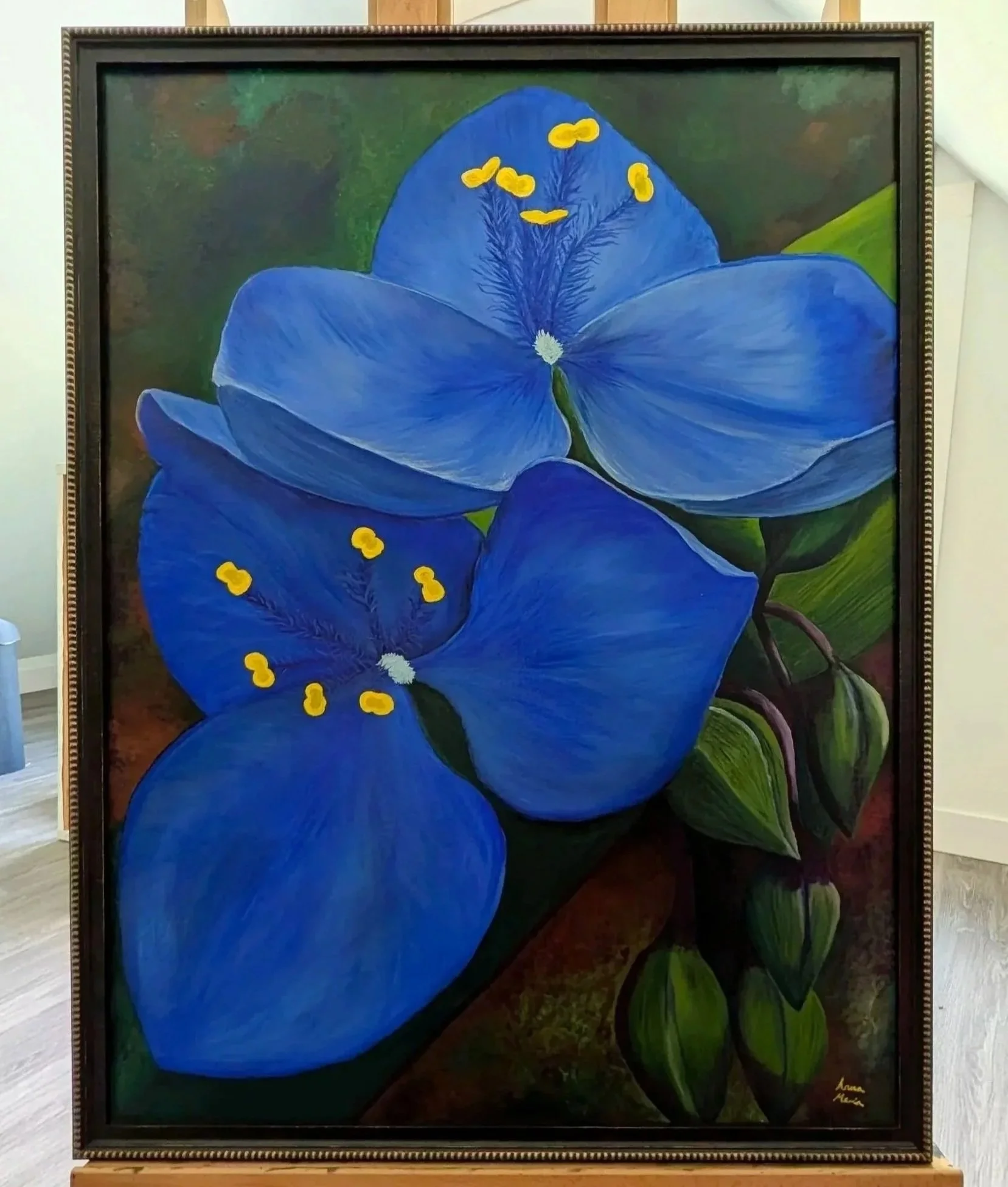 Tradescantia