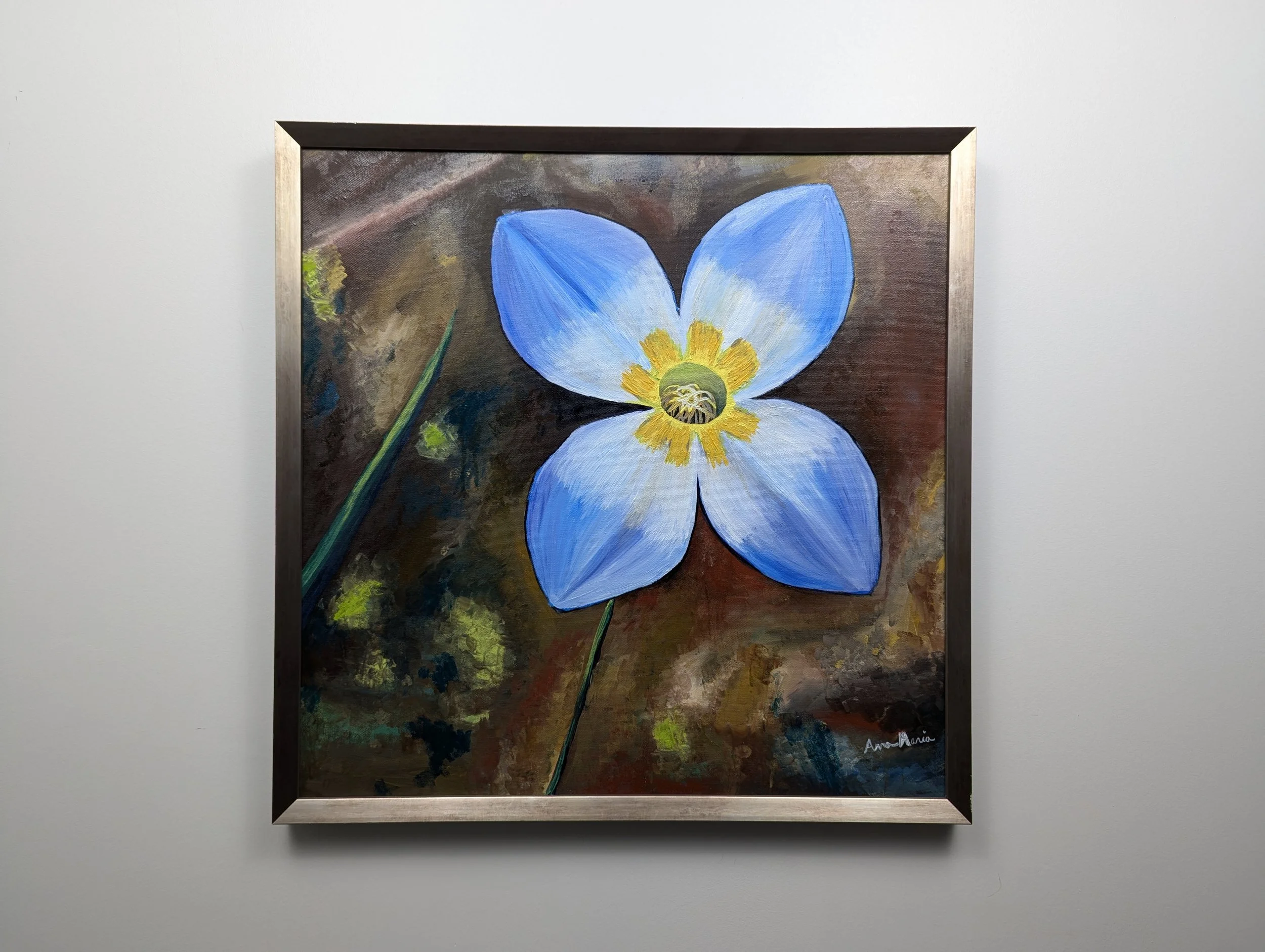 Bluet with frame.jpg