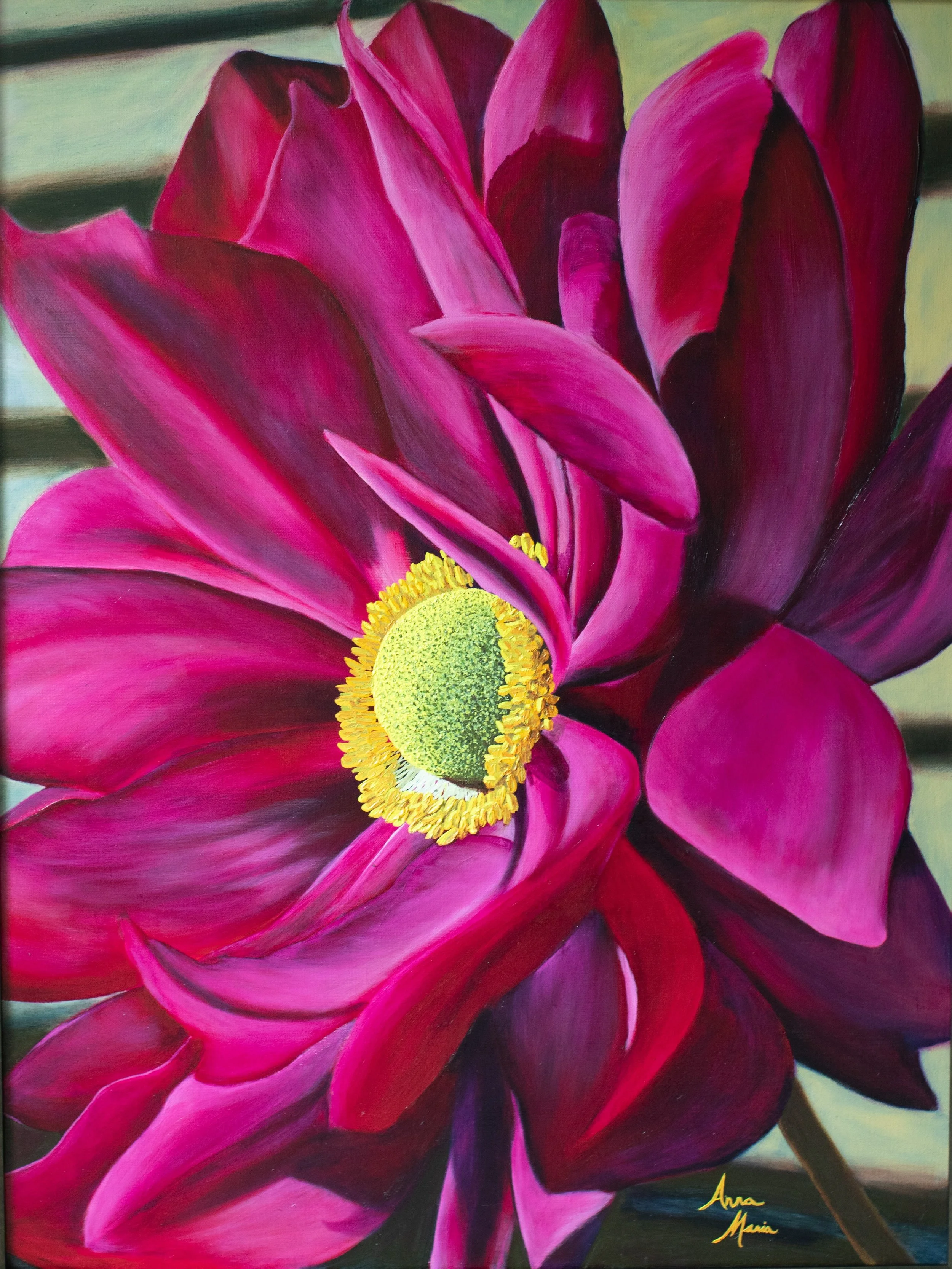 (Print of) Windflower