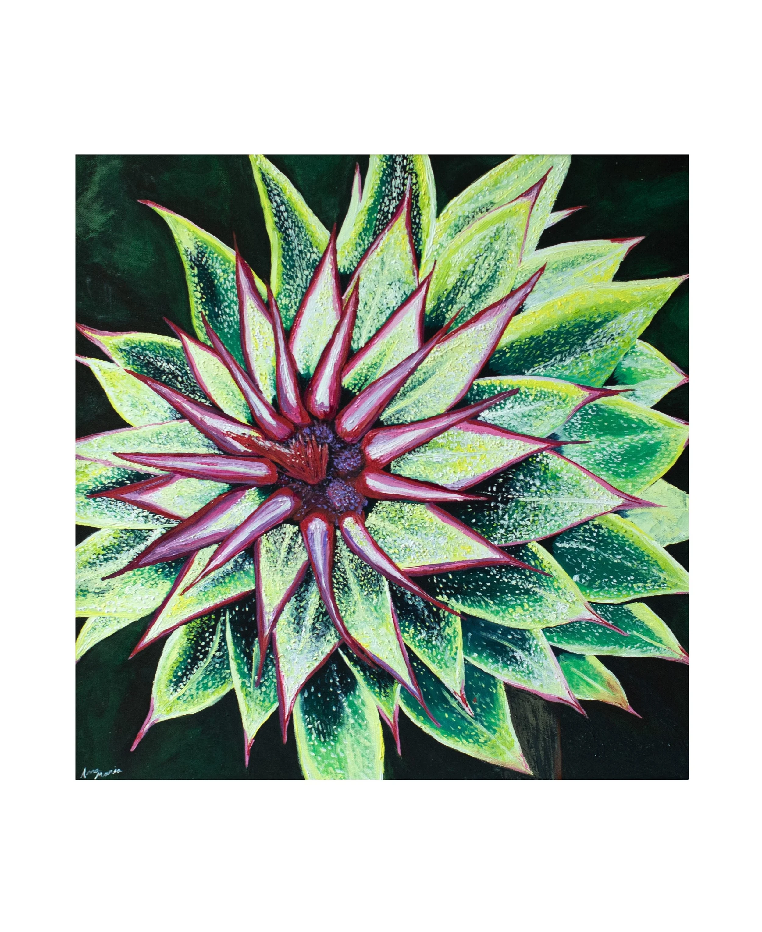 (Print of) Thistle Bloom Series 1: The difference between a flower and a weed is a judgement