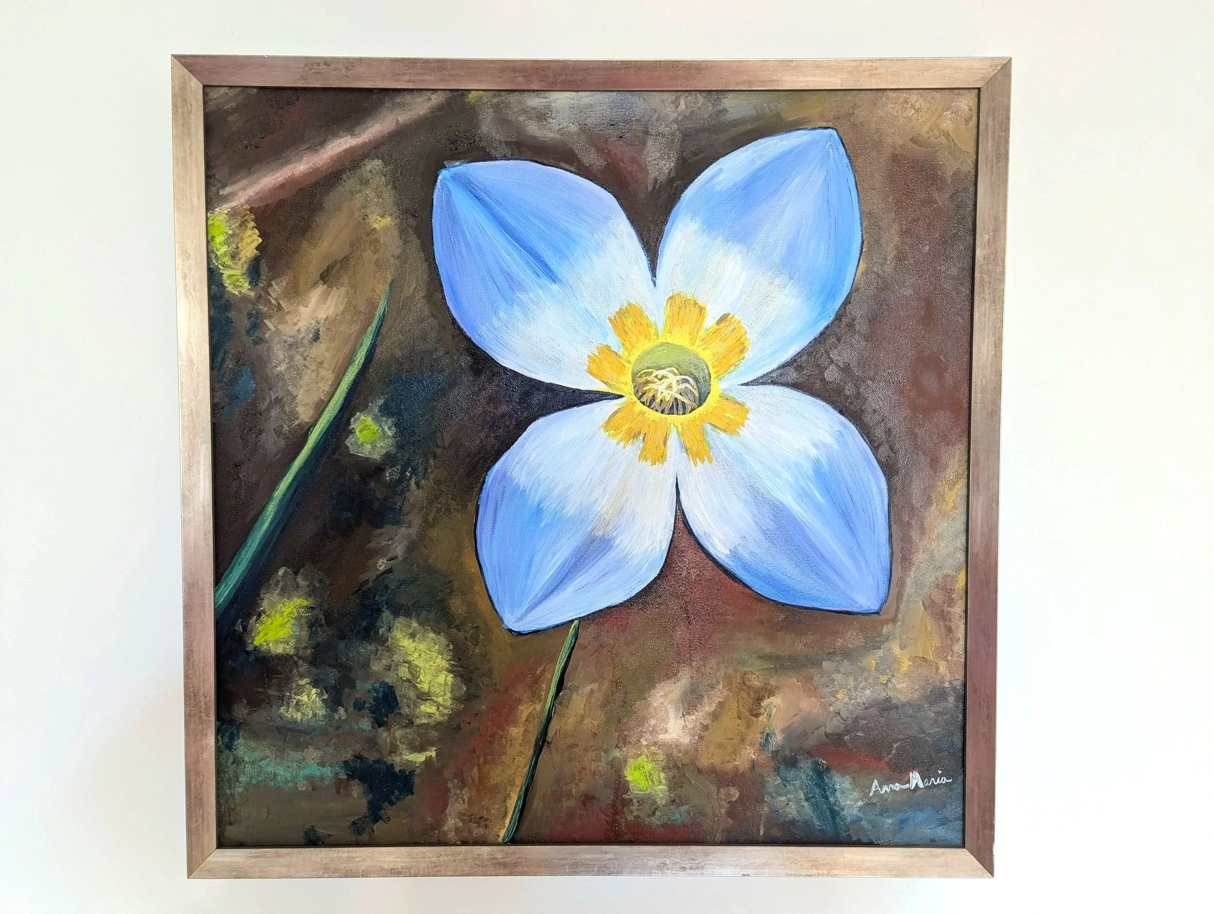 Oh, hello there lovely little bluet!