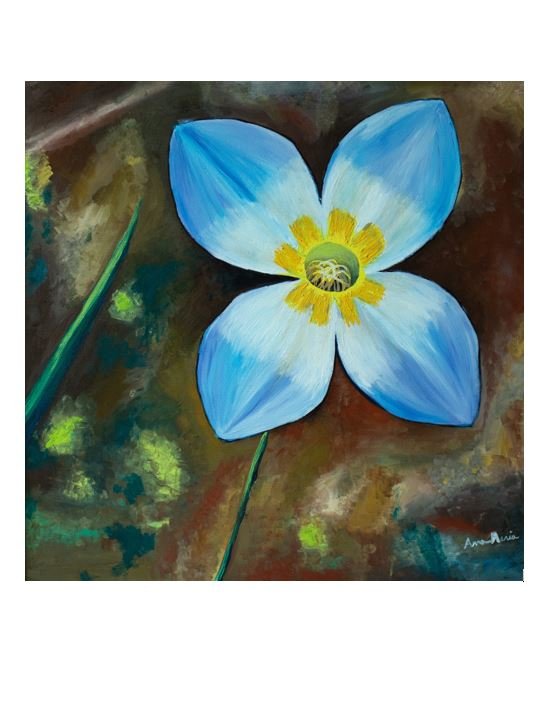 (Print of) Oh, hello there lovely little bluet!