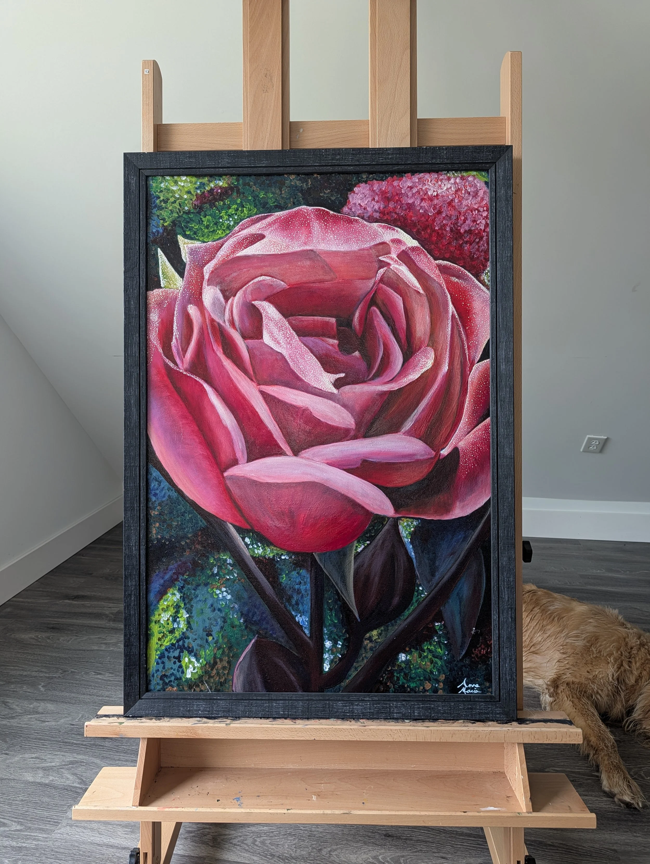 A rose for the one of those I've loved along the way