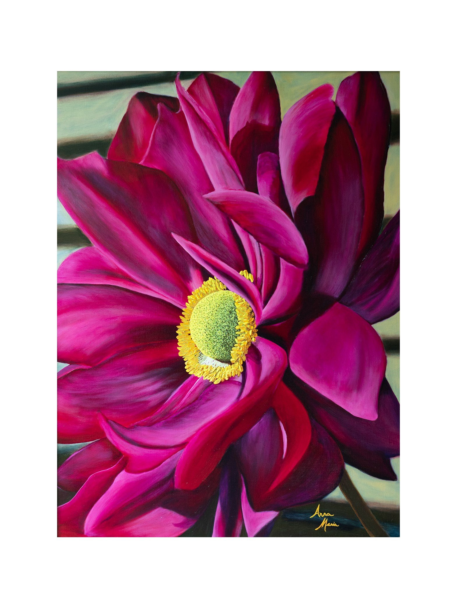 Windflower zoomed out.jpg