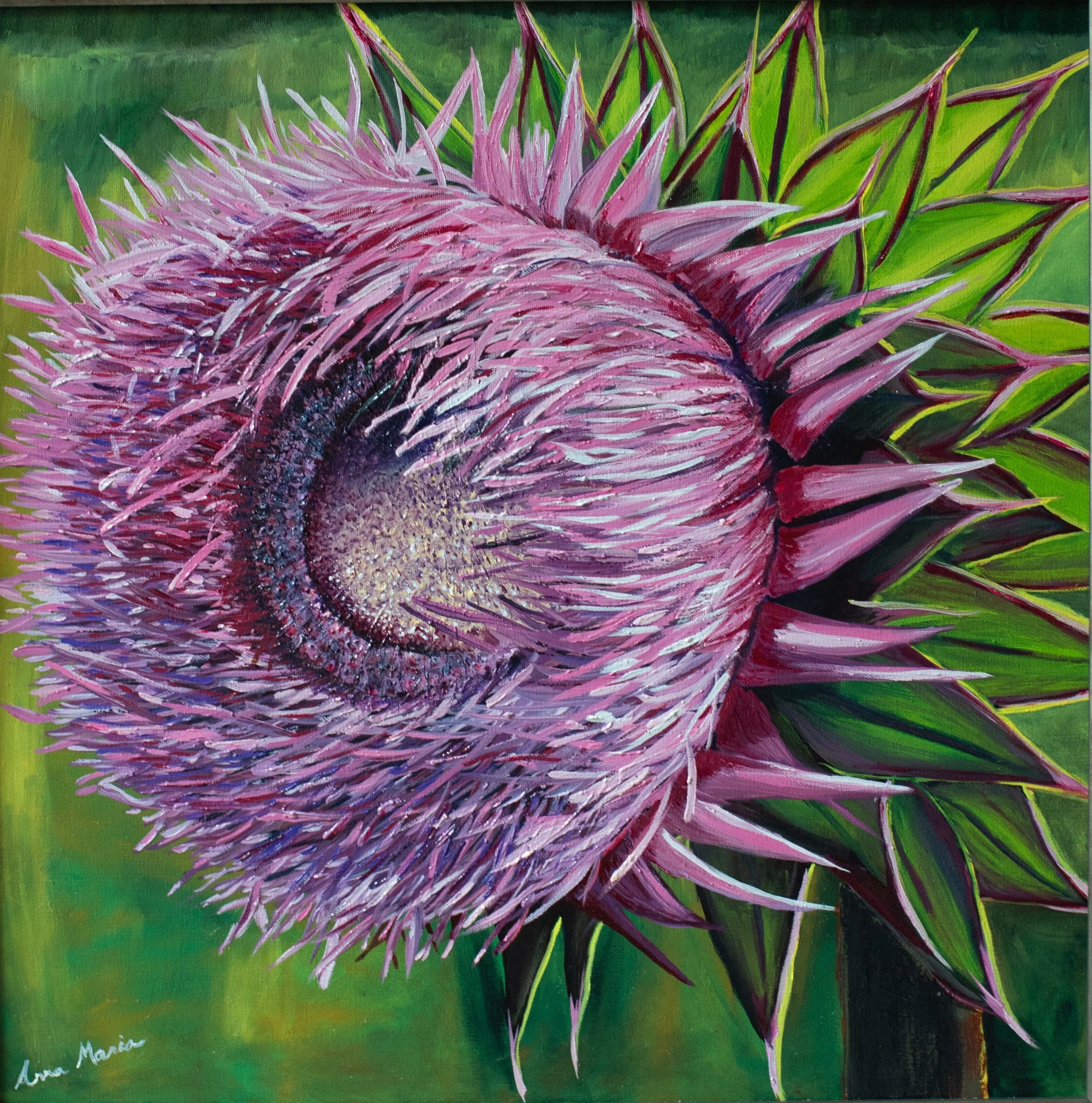 1B3A0556 - Thistle 2.jpg