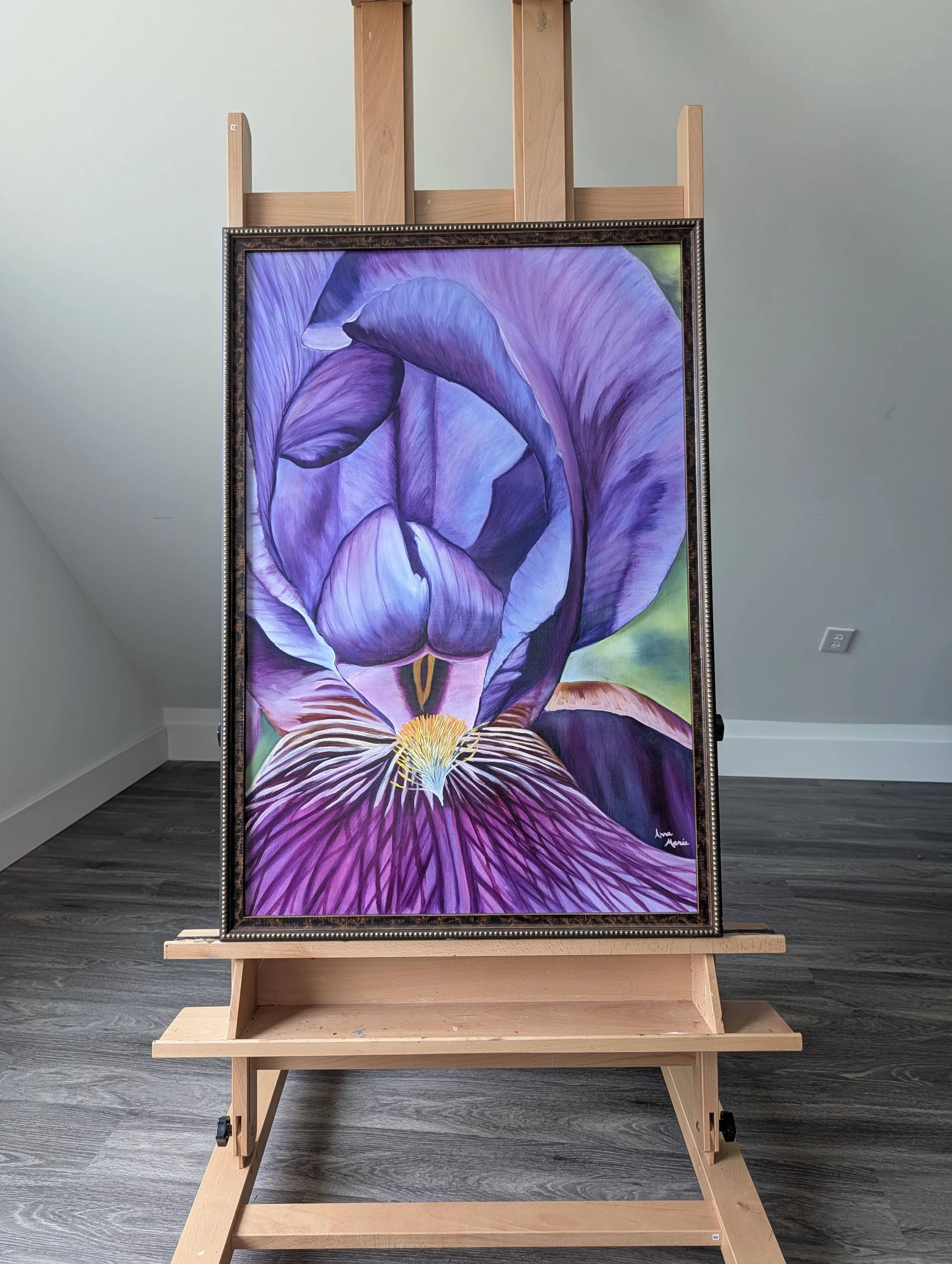 A Bearded Lady (bearded iris)