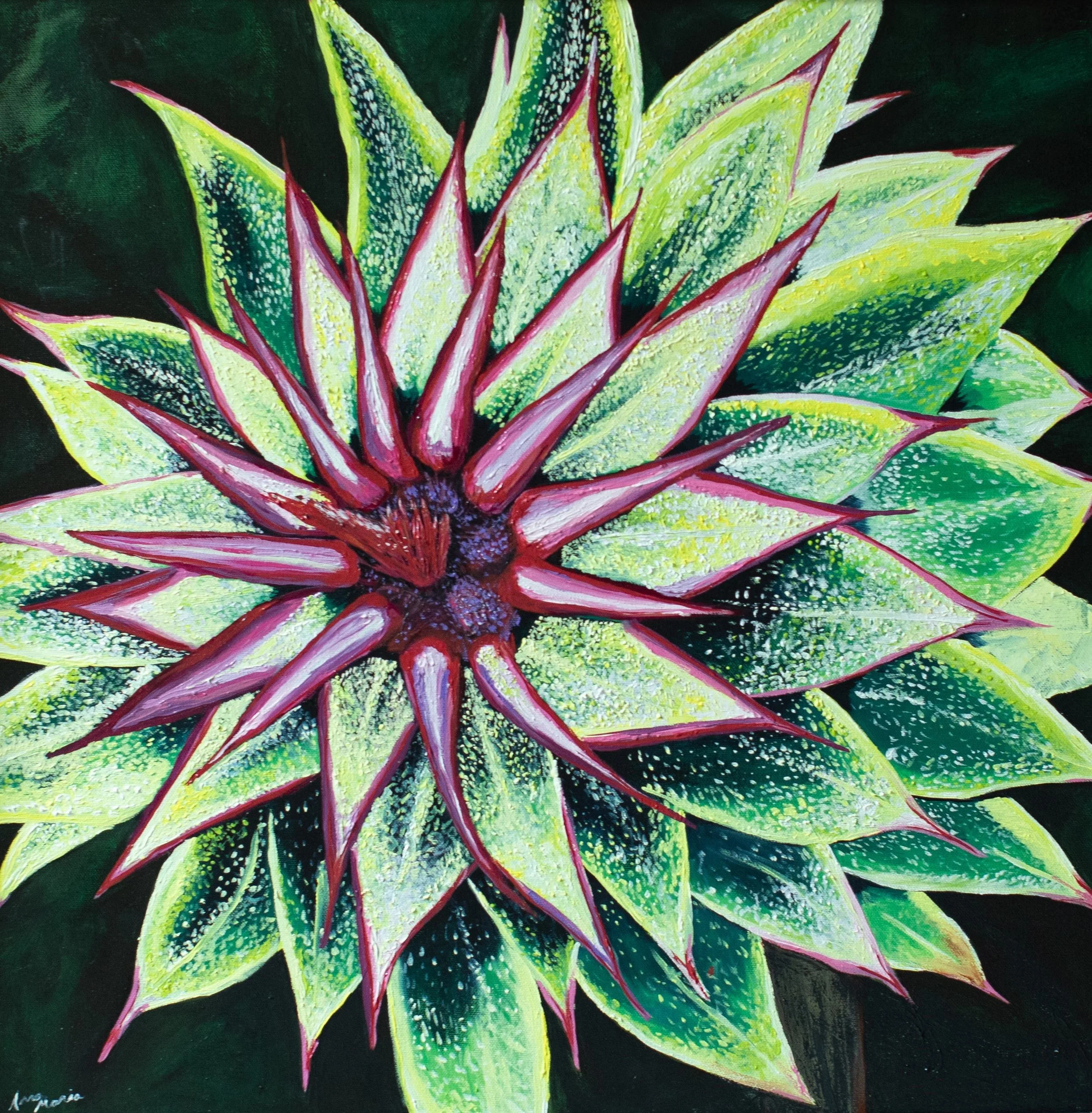 1B3A0549 - Thistle 1.jpg