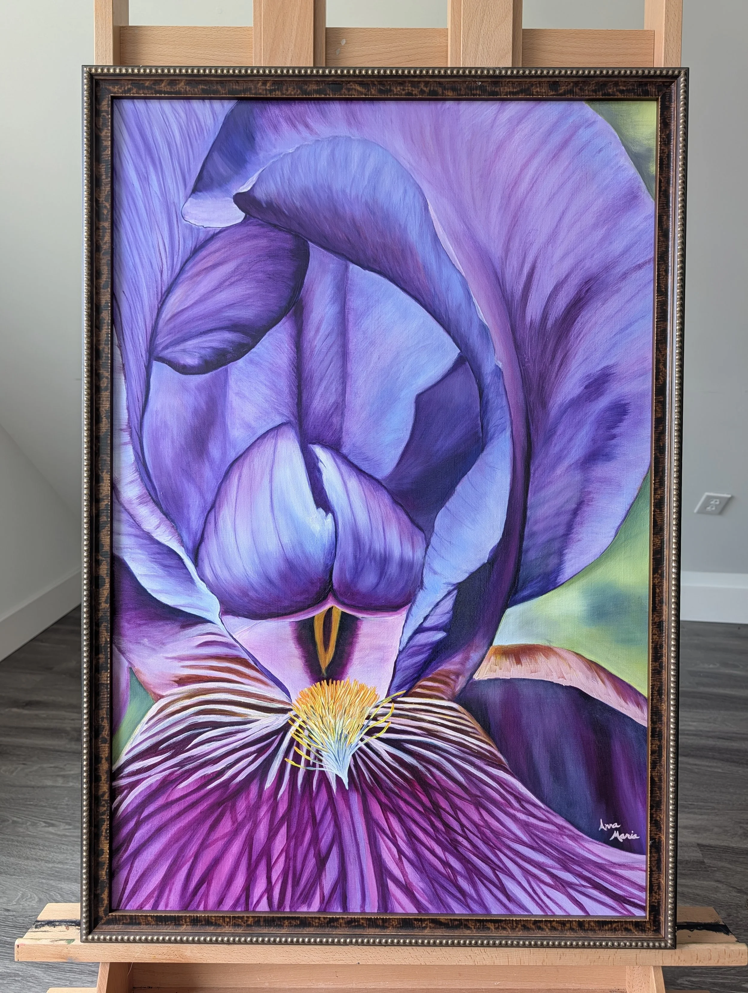 A Bearded Lady (bearded iris)