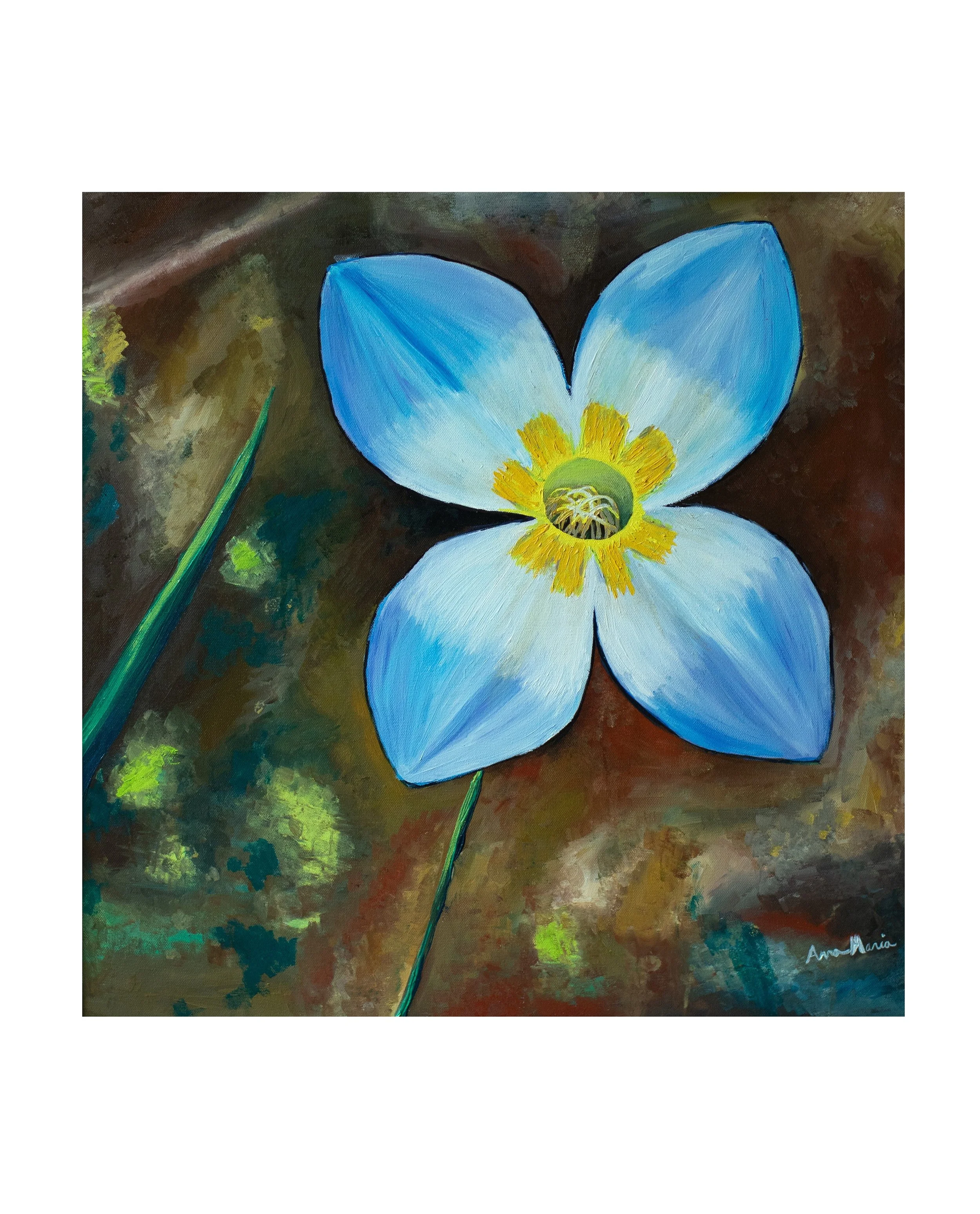 bluet zoomed out.jpg