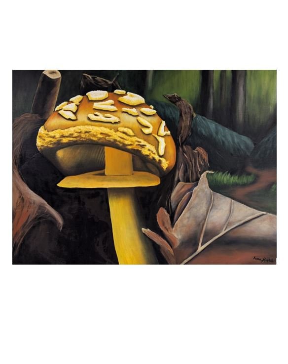 fungus zoomed out.JPG